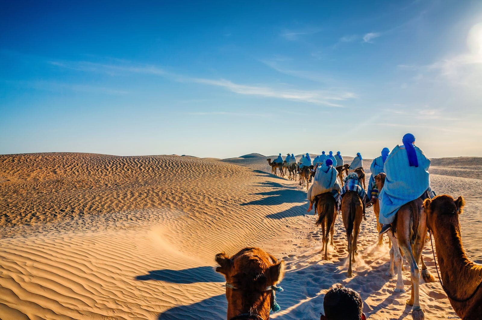 Ultimate Guide: Planning Your Camel Trek Adventure in the Tunisian Sahara