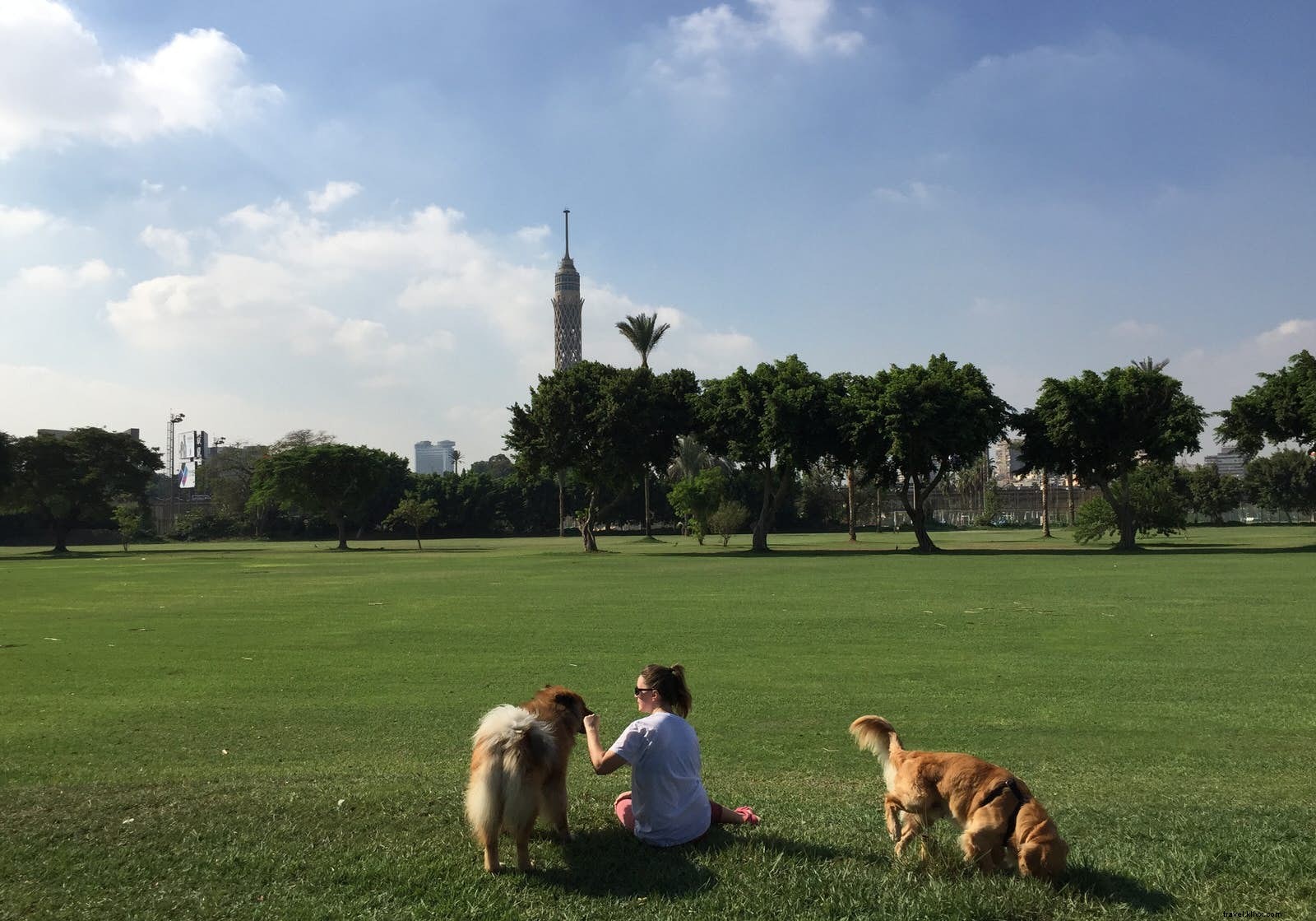 Living Like a Local in Cairo: Insider Tips from a Resident Expert