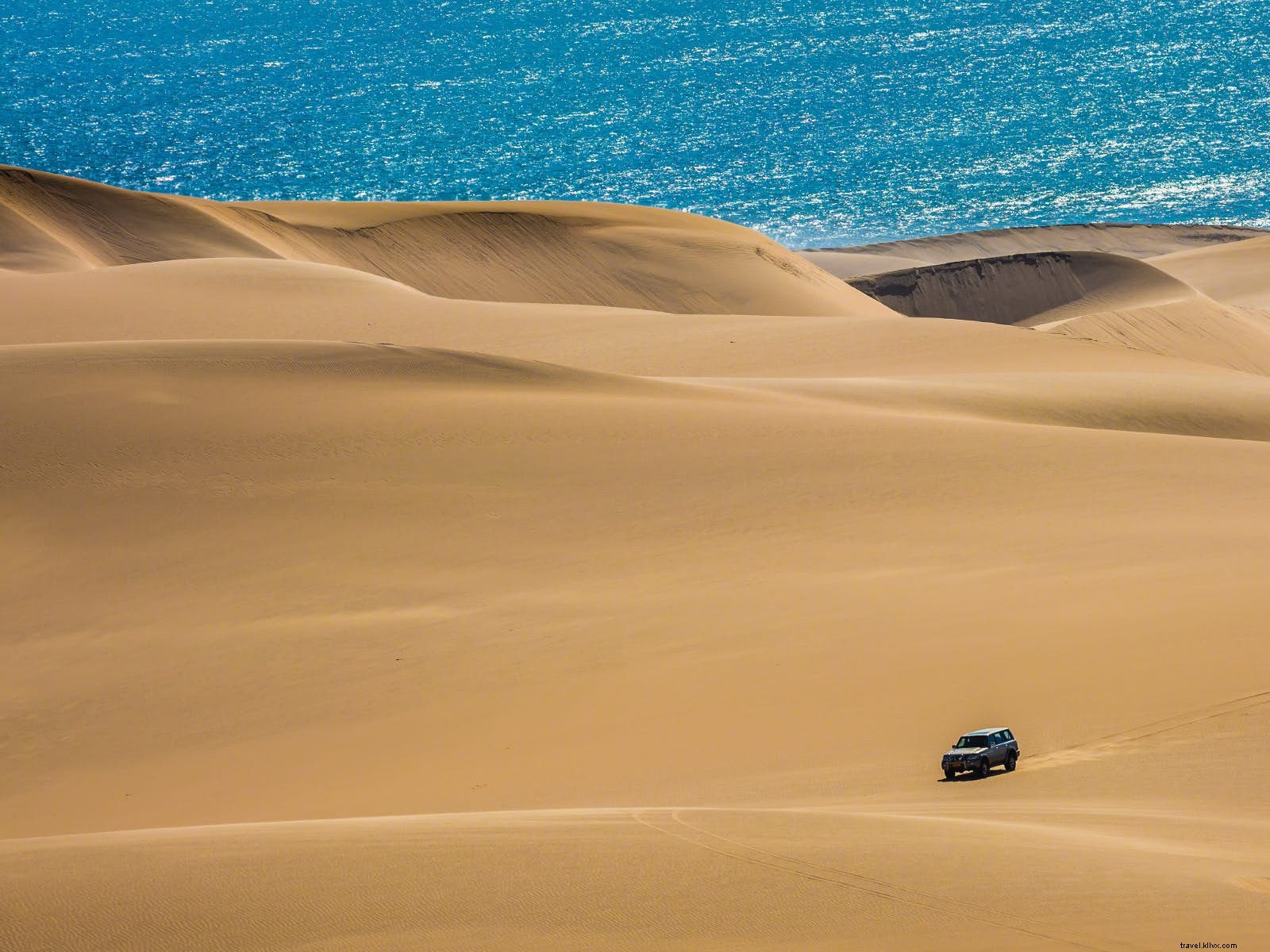 Best Vehicles for Iconic Road Trips: Expert Recommendations for Global Adventures