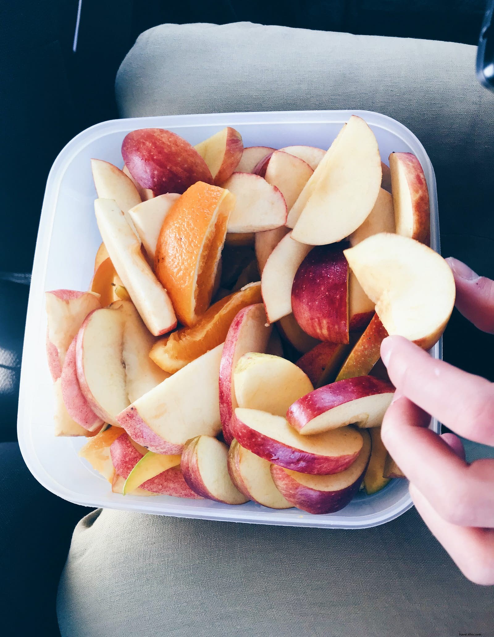 12 Expert Tips for a Stress-Free Family Road Trip with Kids