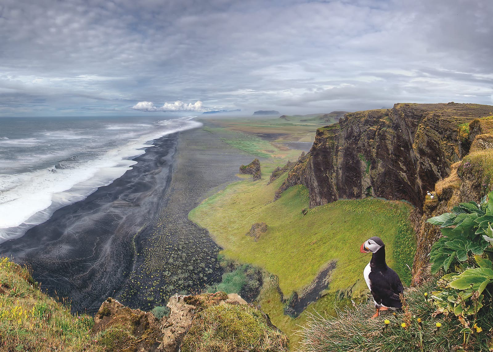 Discover Lesser-Known Wildlife Wonders: Fantastic Beasts and Top Spots to See Them