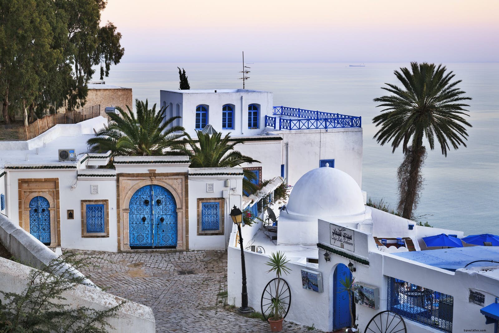 Living Like a Local in Tunis: Insider Tips from Lonely Planet s Erin Harvey