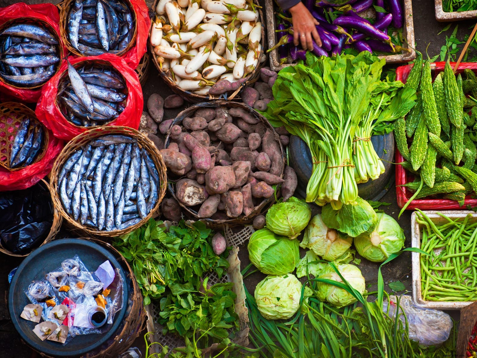 Behind-the-Scenes Food Tours: Immersive Culinary Adventures in the World s Top Destinations