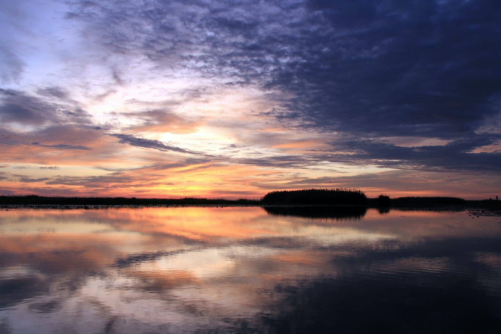 Bangweulu Wetlands and Liuwa Plain: Zambia s Hidden Wildlife Wonders