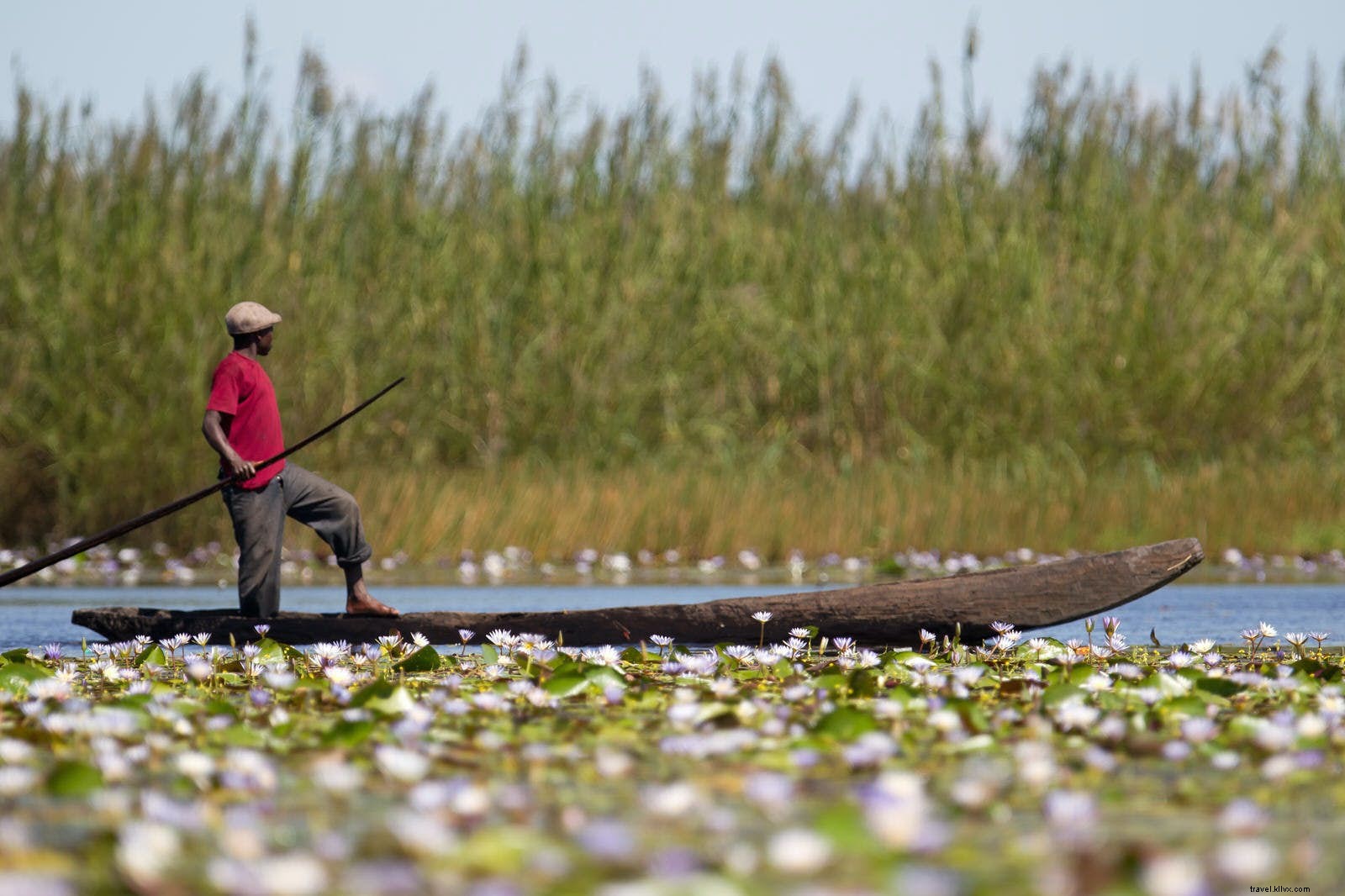 8 Spectacular Wetlands Worldwide: Top Destinations for Wildlife Watching