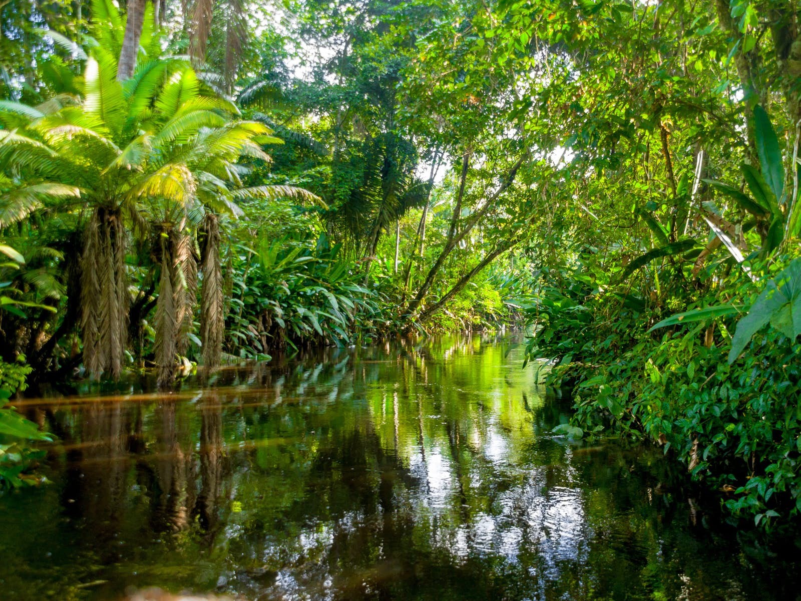 Benedict Allen: Legendary Explorer and Survival Expert on Epic Adventures