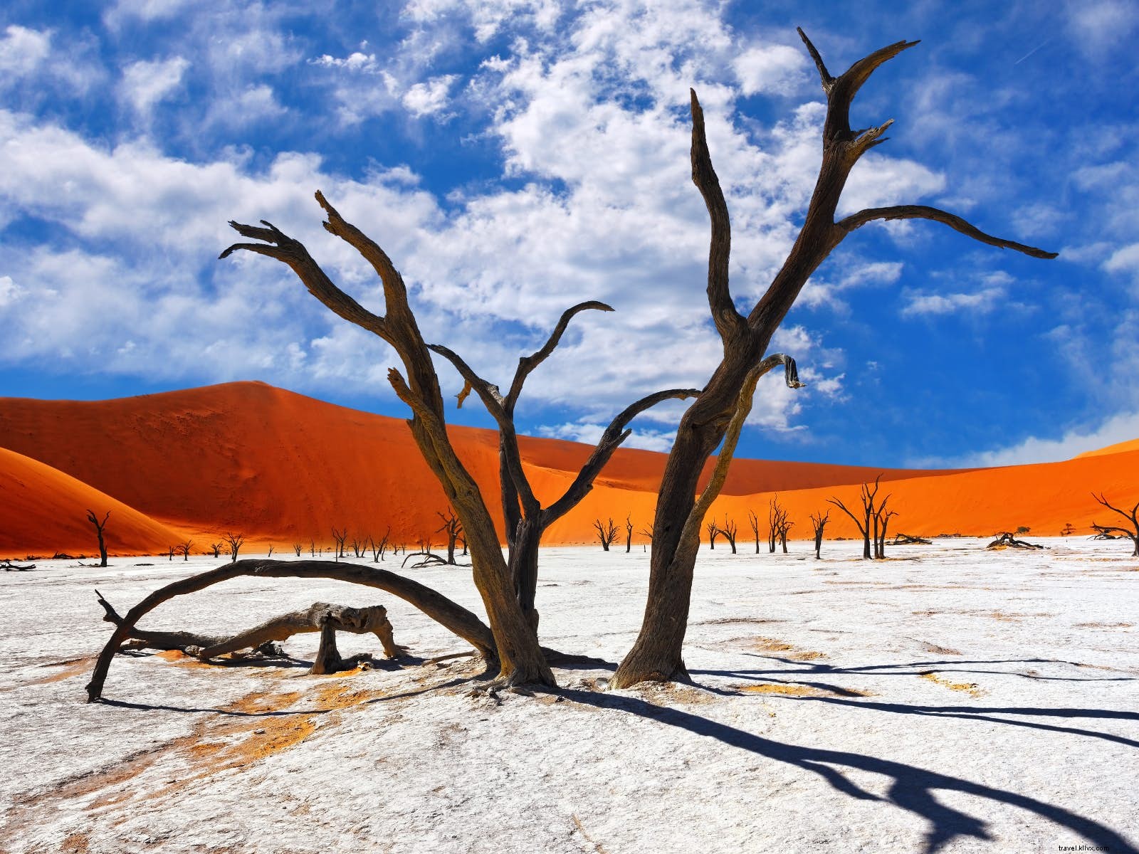 Benedict Allen: Legendary Explorer and Survival Expert on Epic Adventures