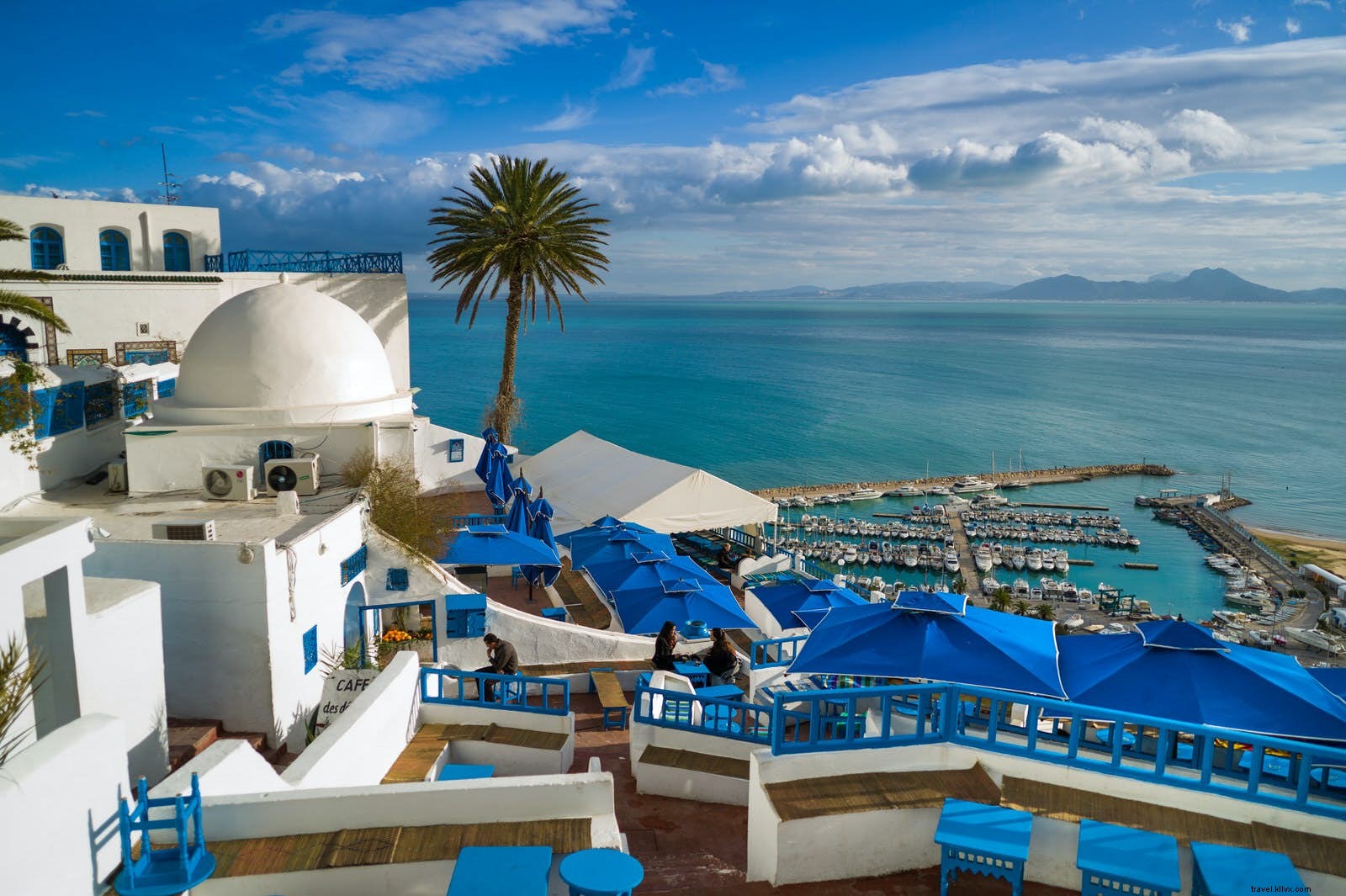 Top Alfresco Dining in Tunis: Best Seafront Restaurants with Stunning Views