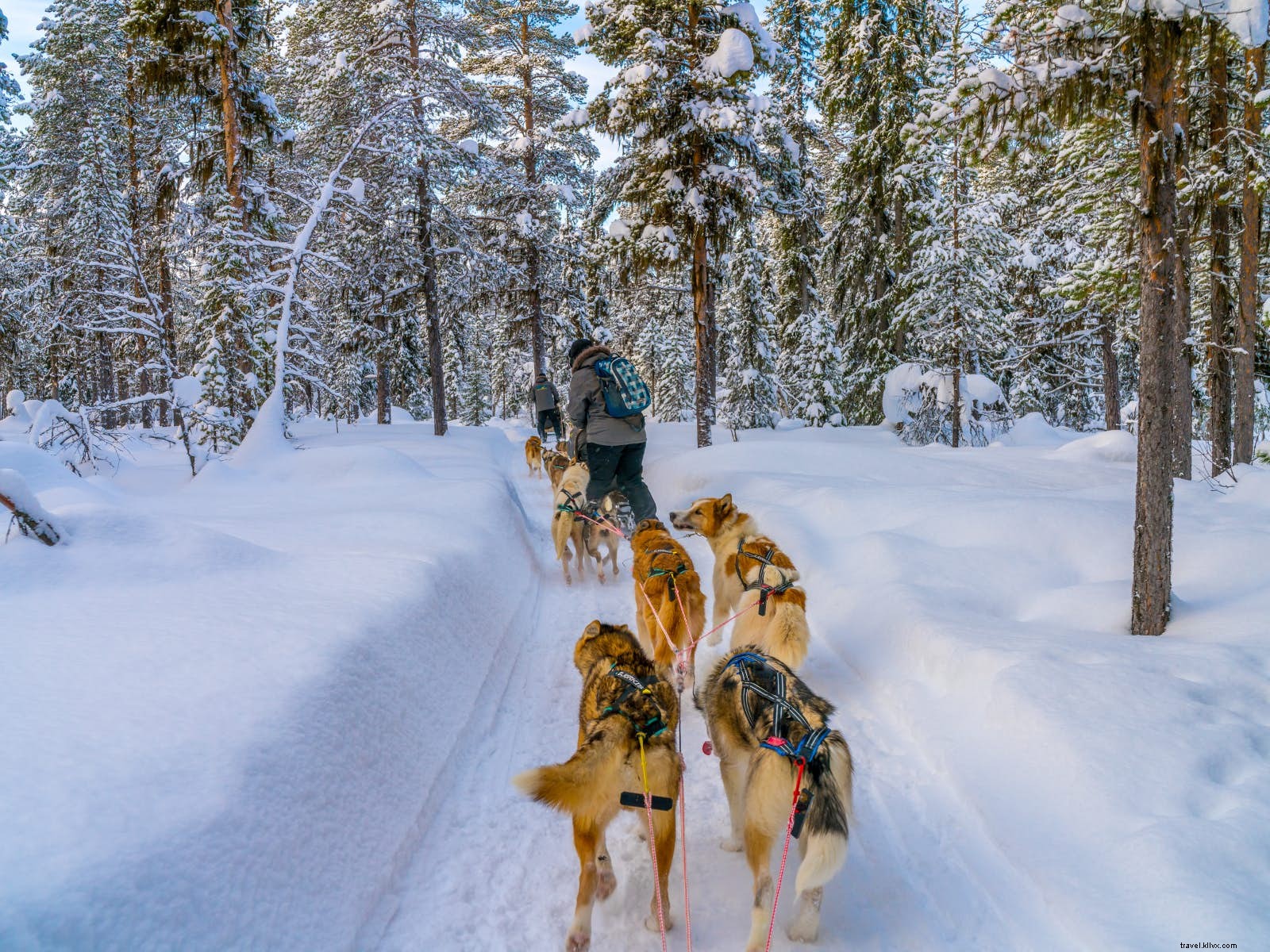 Top December Destinations for Wildlife and Nature Lovers