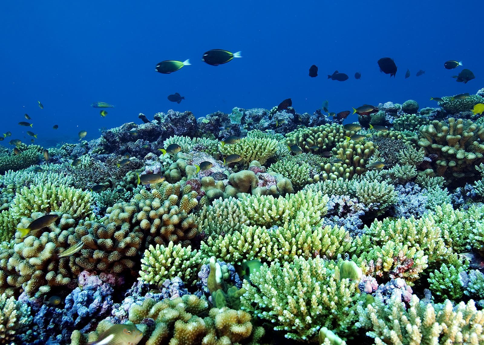 10 Hidden Adventure Destinations for Thrill-Seekers: Off-the-Beaten-Path Gems from Lonely Planet