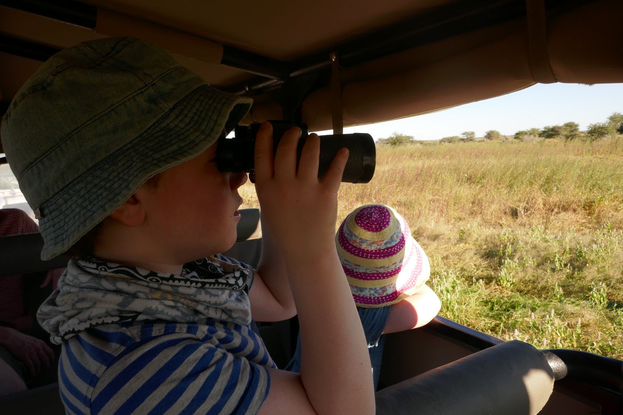 Namibia: The Ultimate Safe African Adventure for Families with Young Explorers