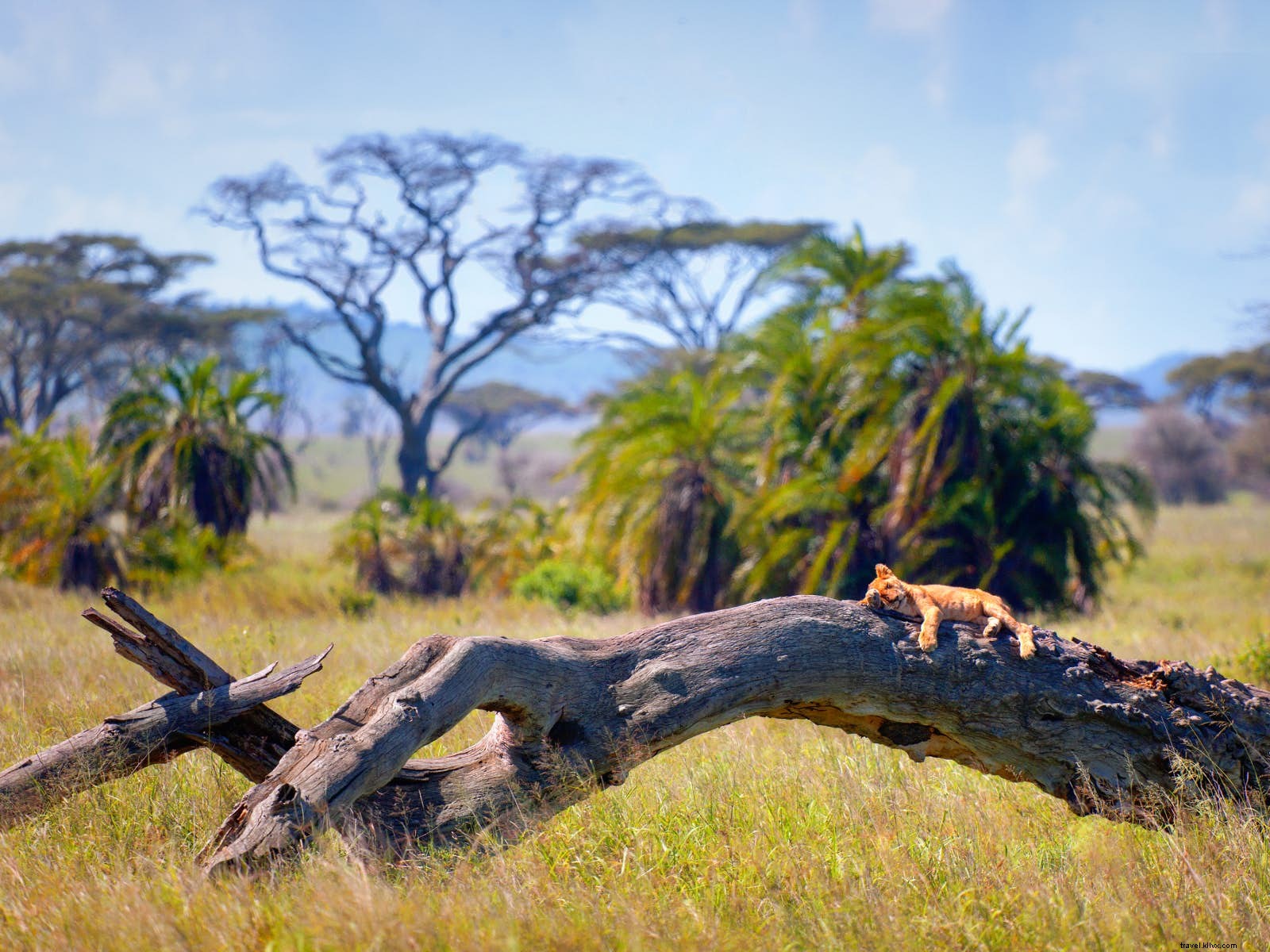 Best Shoulder Season Destinations: Top Off-Peak Travel Spots for Savvy Travelers