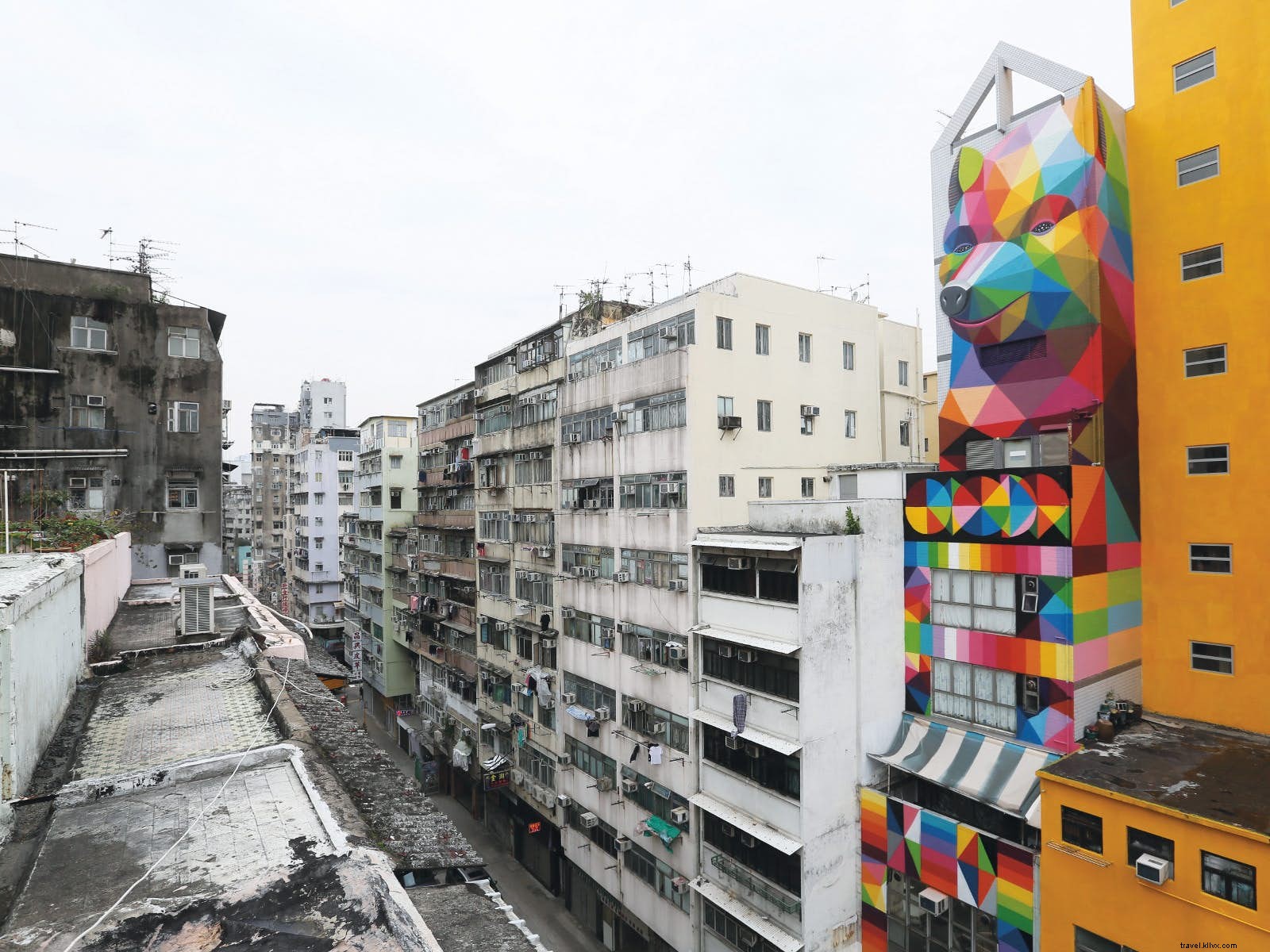 8 World-Class Street Art Festivals Transforming Cities Globally