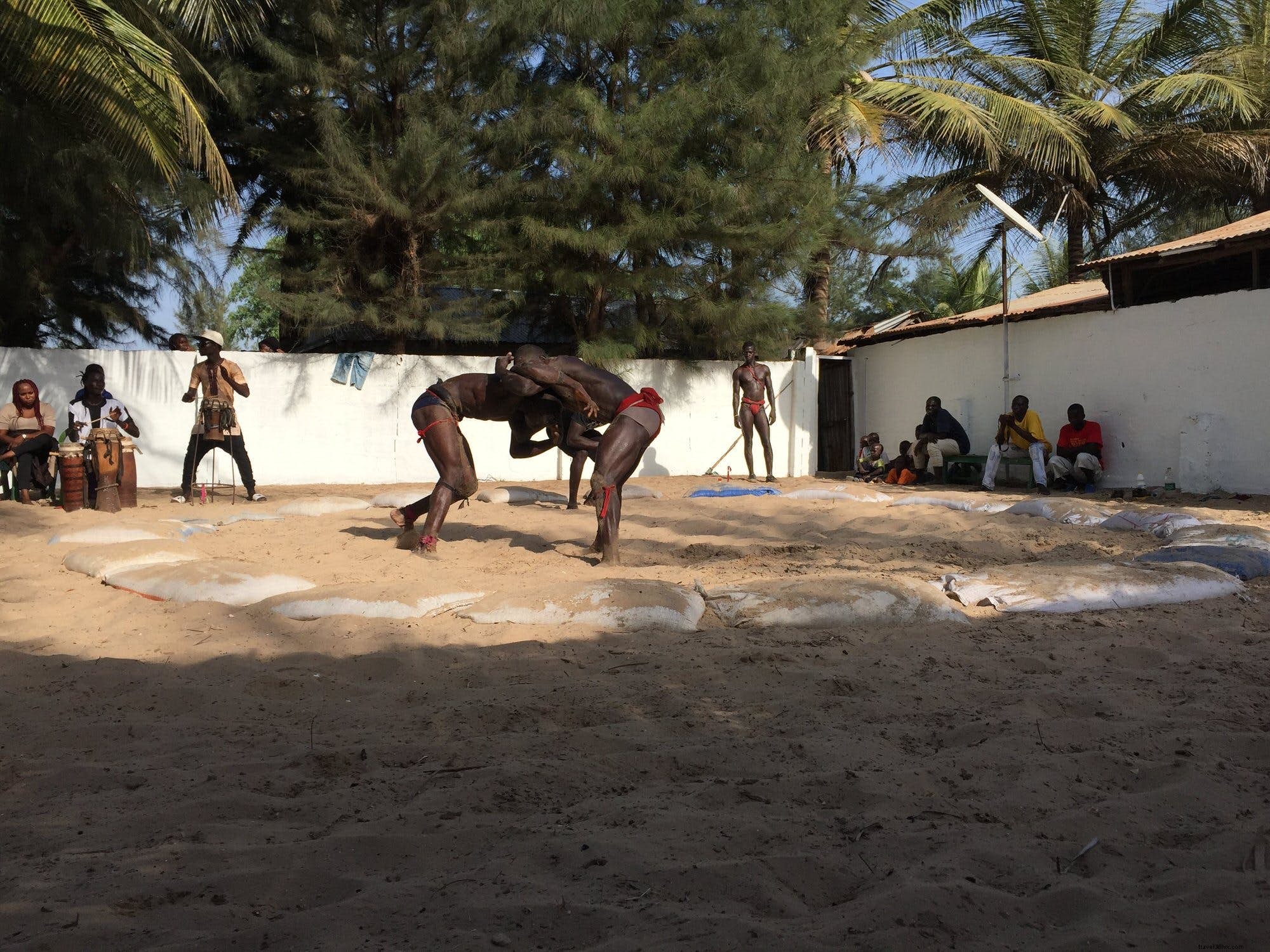 Beyond the Beaches: Unmissable Cultural and Nature Experiences in The Gambia