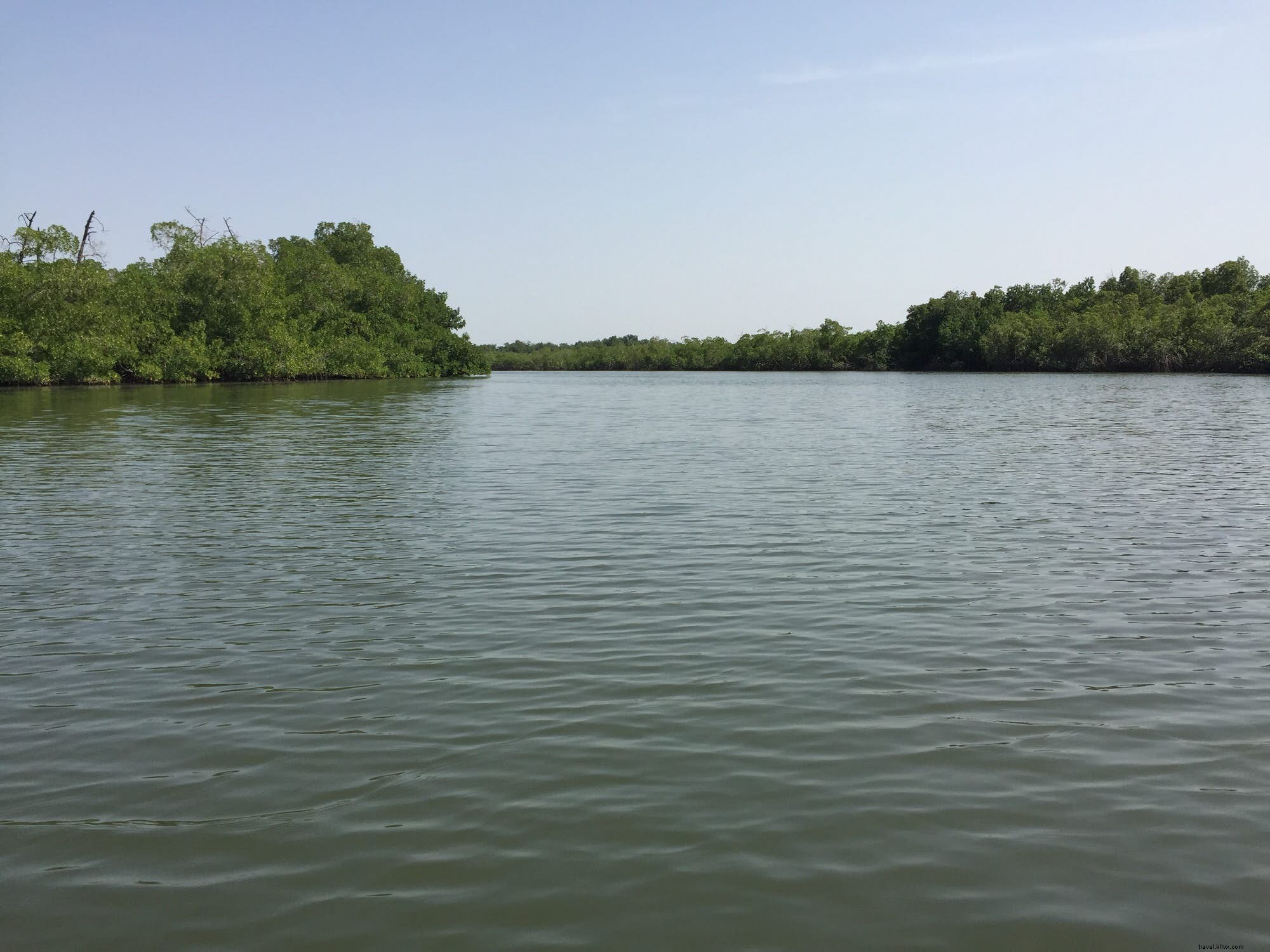 Beyond the Beaches: Unmissable Cultural and Nature Experiences in The Gambia