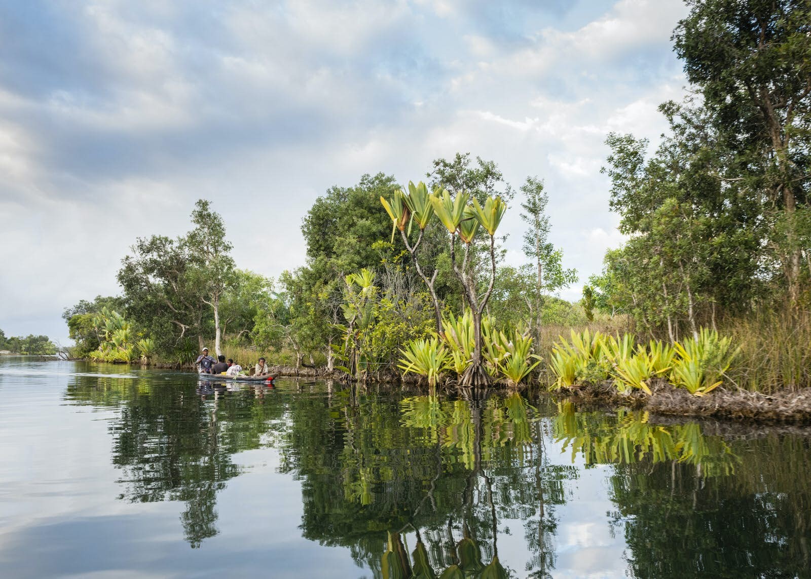 Discover Madagascar: Unique Wildlife Wonders from Lemurs to Tsingy Peaks