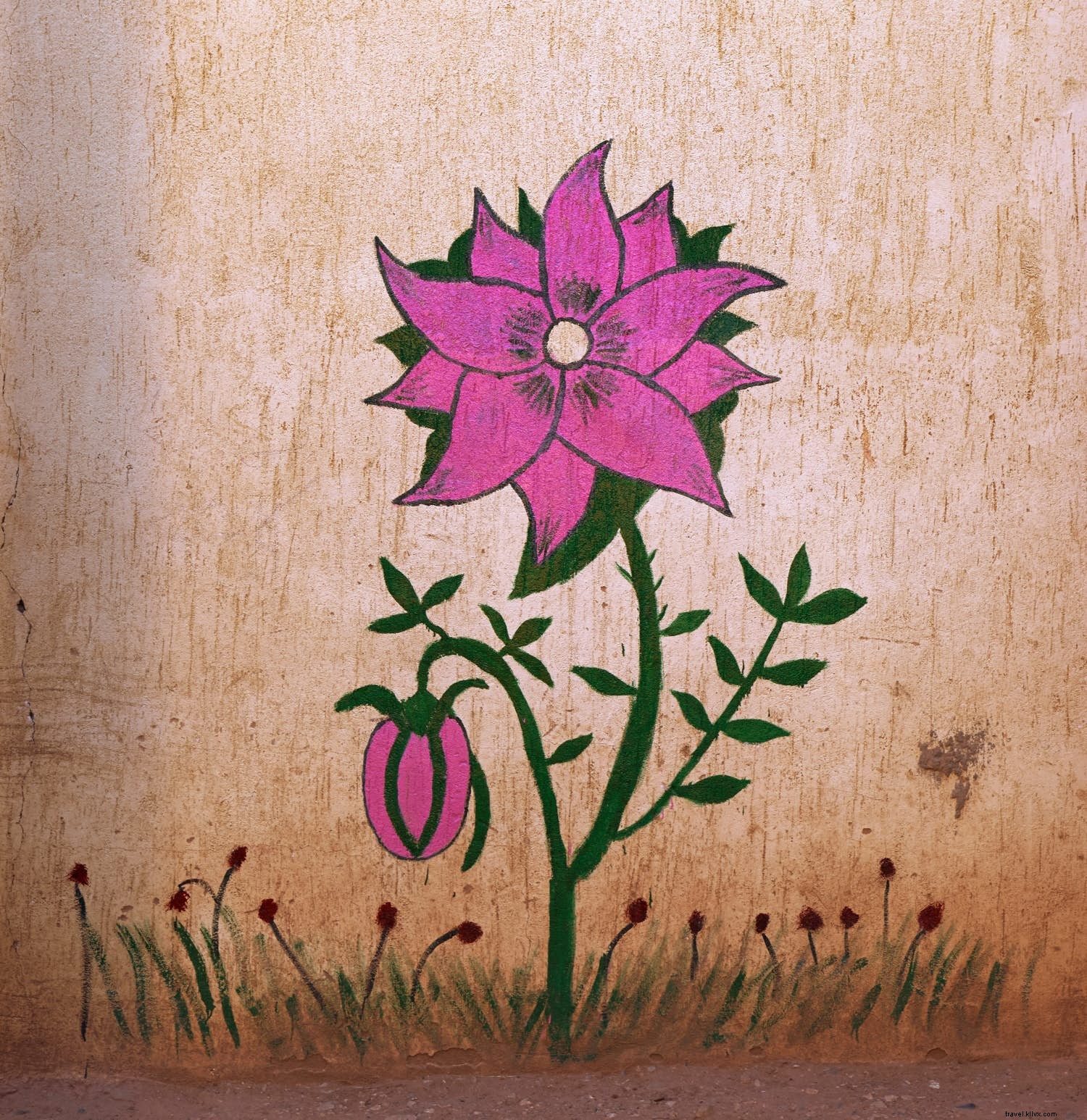 Morocco s Valley of the Roses: Experience the Iconic Rose Festival in the Atlas Mountains