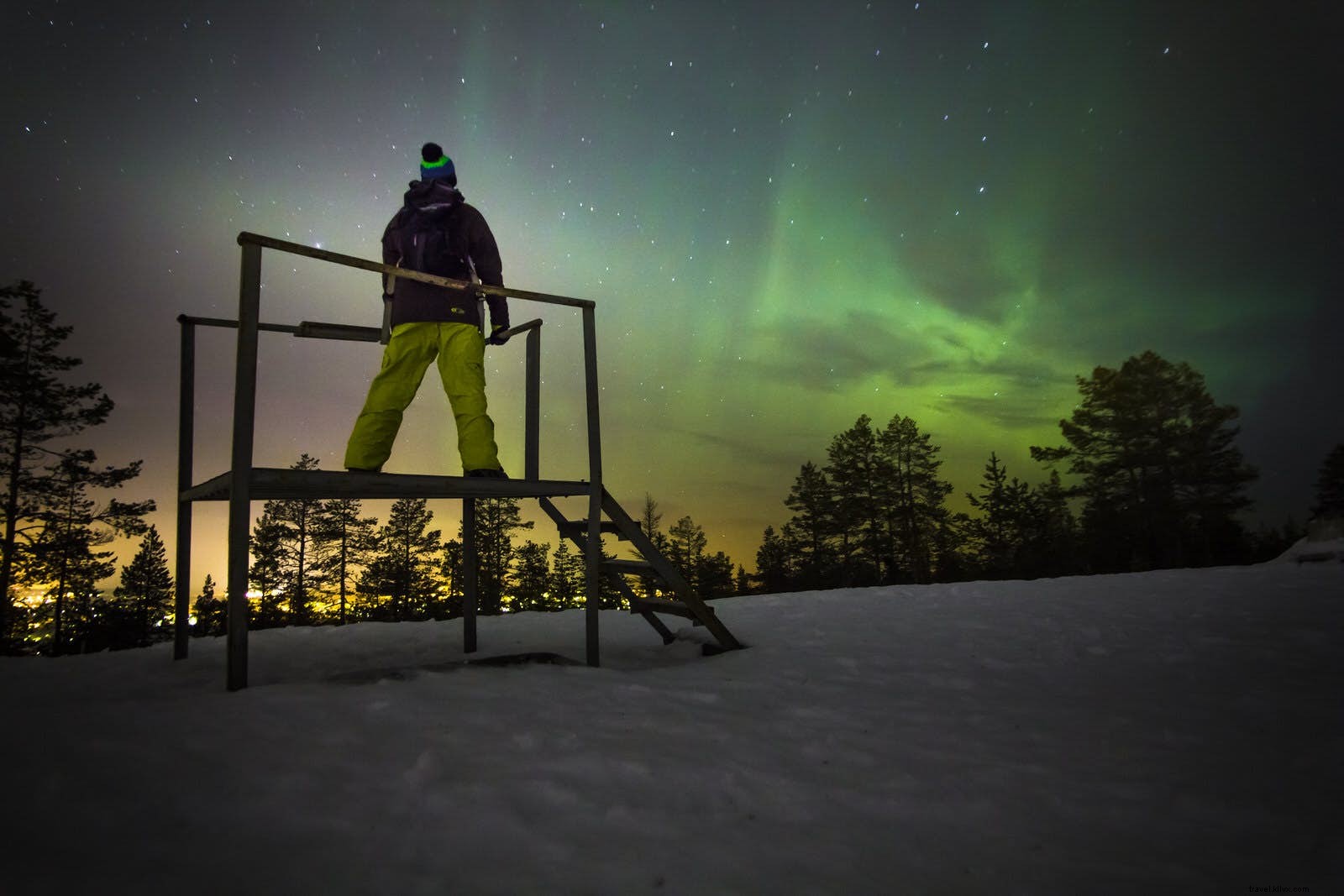 Beyond African Safaris: Exceptional Wildlife Adventures for Nature Lovers