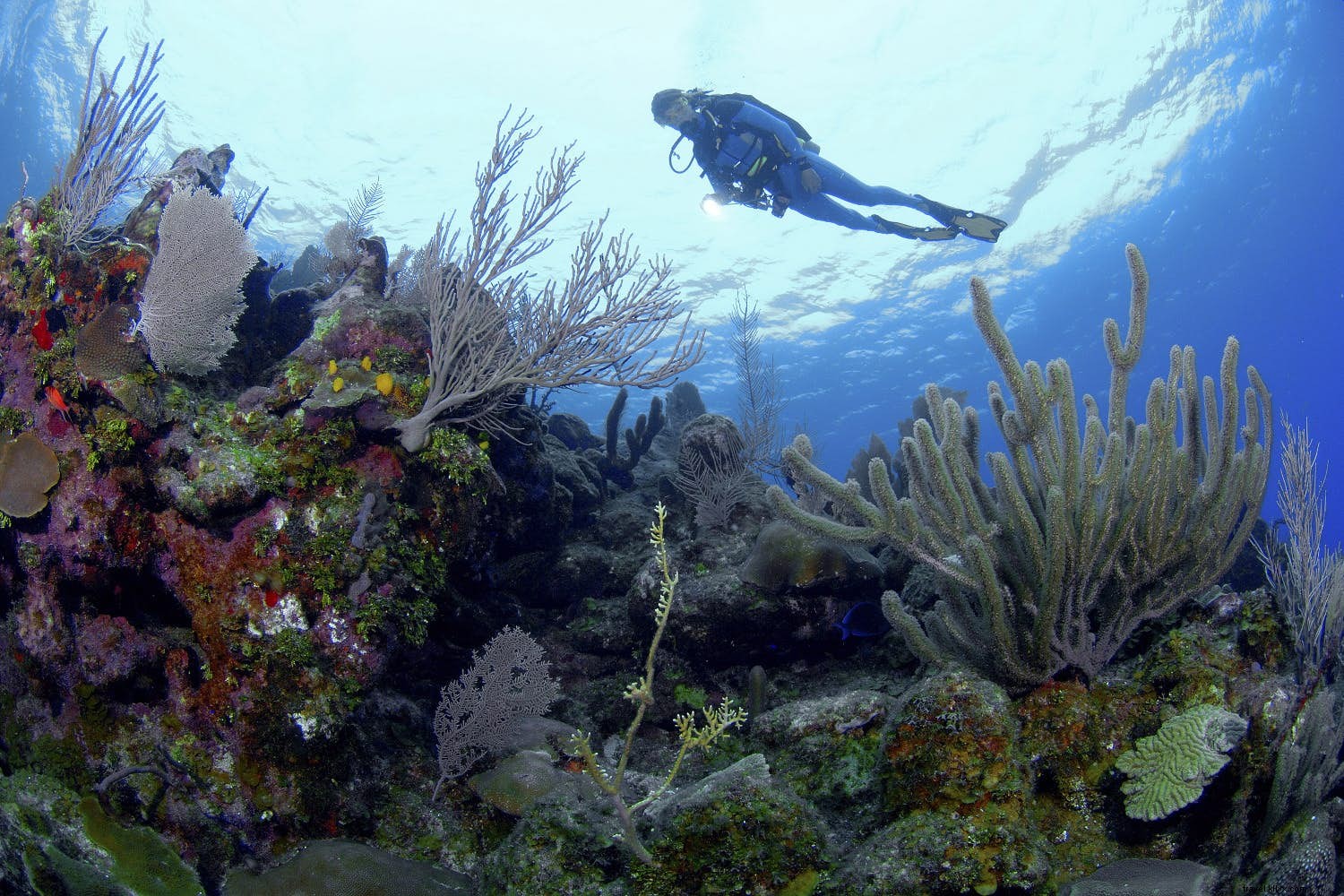 Top 10 Budget-Friendly Honeymoon Destinations for Unforgettable Romance