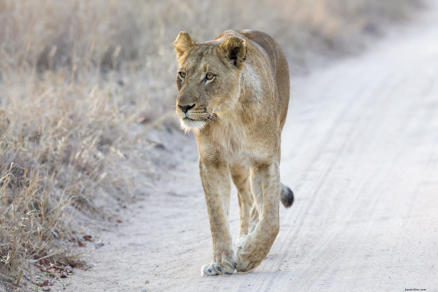 Top 10 Budget-Friendly Honeymoon Destinations for Unforgettable Romance