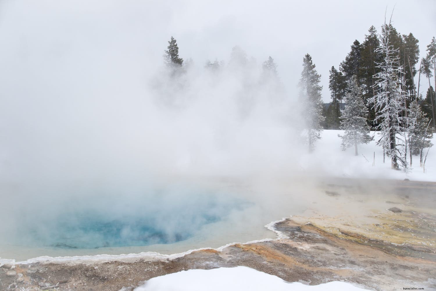 Top February Adventure Destinations: Northern Lights, Skiing, Kilimanjaro & Diving