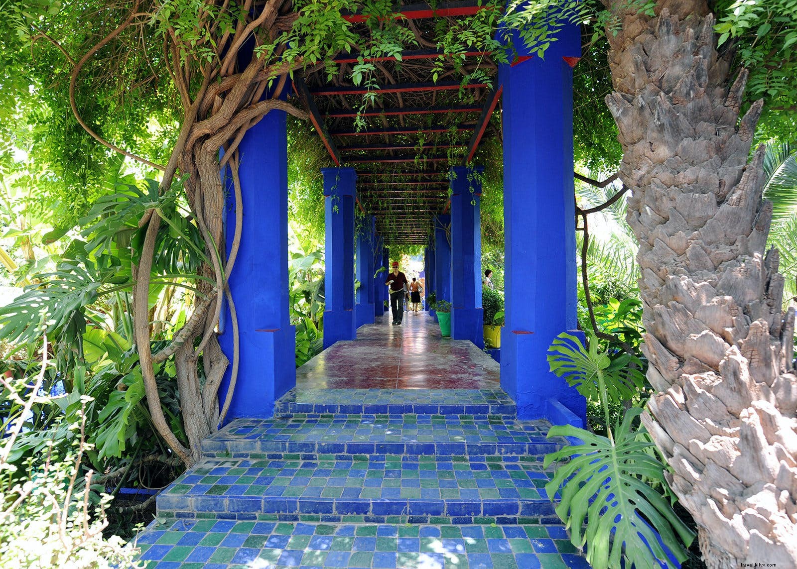 Lonely Planet s New in Travel 2017: Where Our Expert Globetrotters Are Heading Next