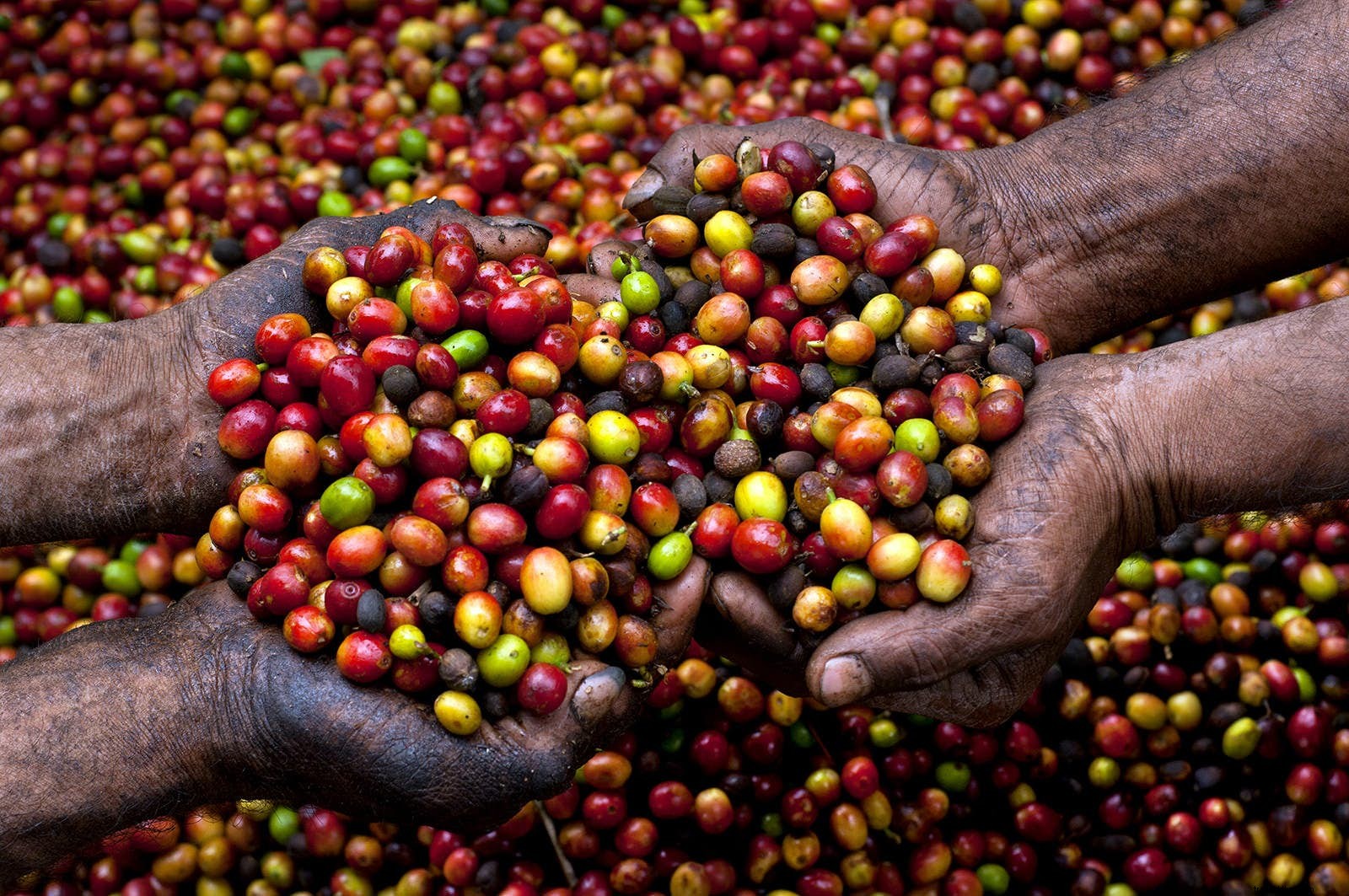 Lonely Planet s Best New Travel Openings of 2017: Attractions 21-35