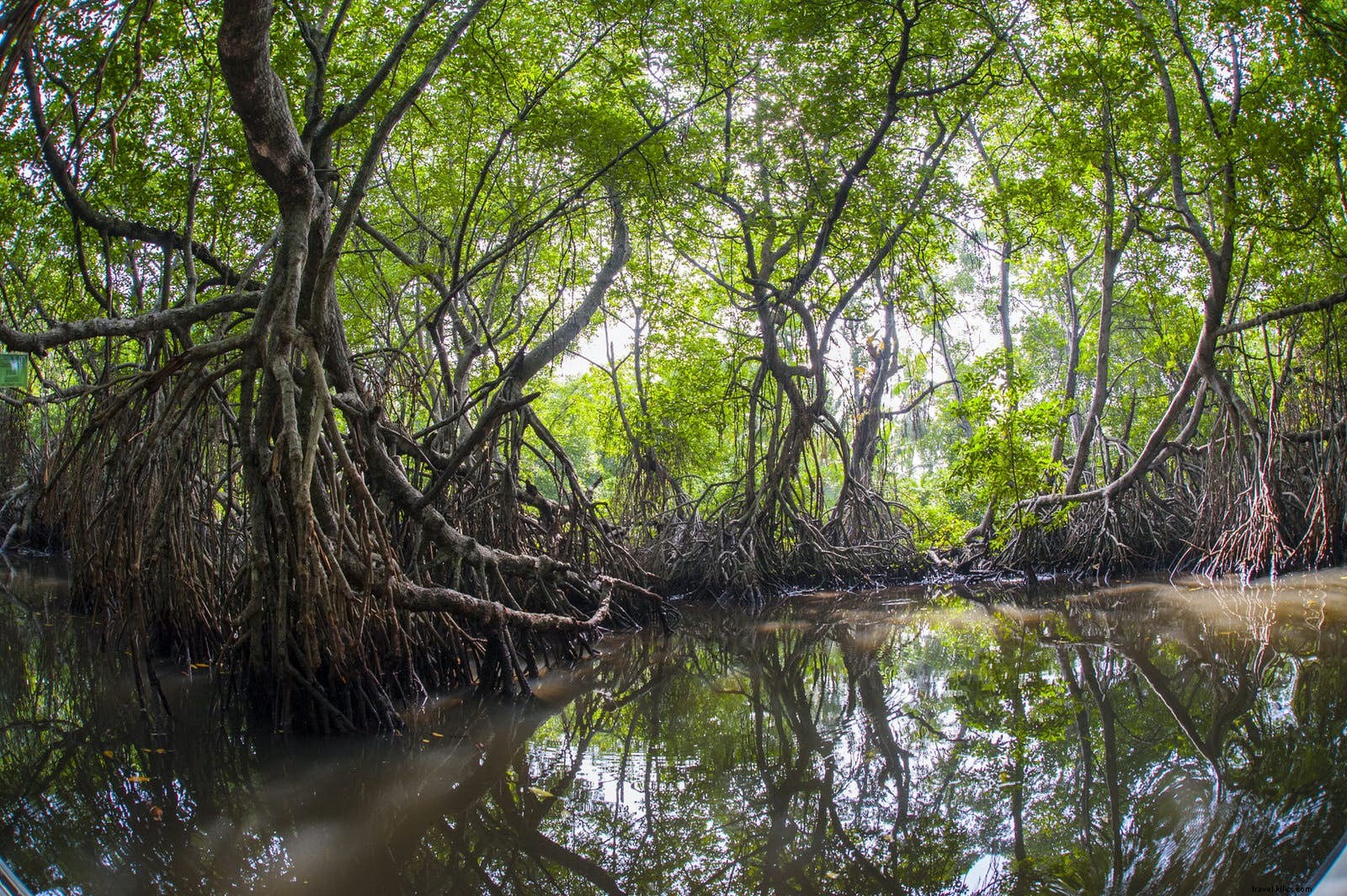 Lonely Planet s Best New Travel Openings of 2017: Attractions 21-35