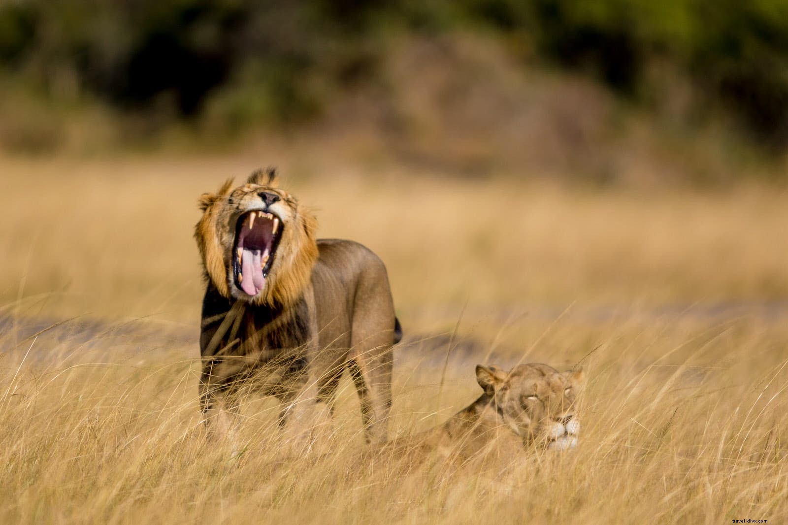 Top 10 Best New Travel Openings and Attractions of 2017