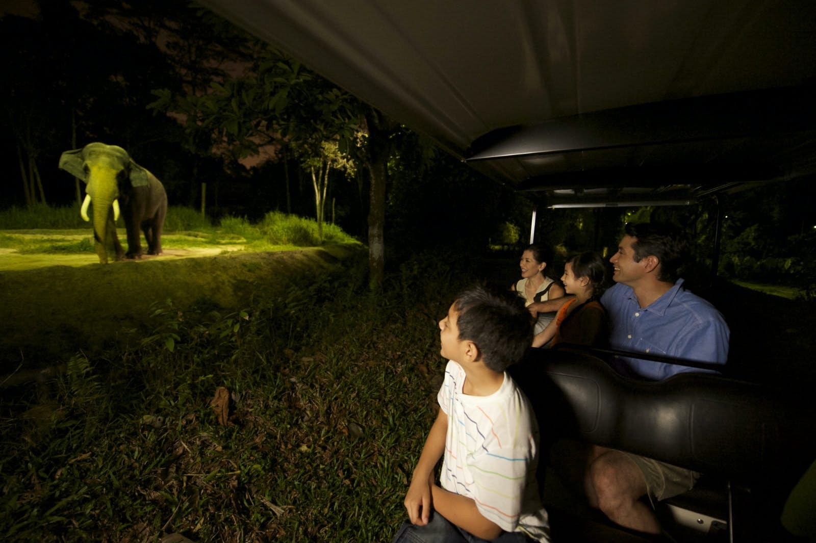 5 Unforgettable Nighttime Adventures for Kids Around the World