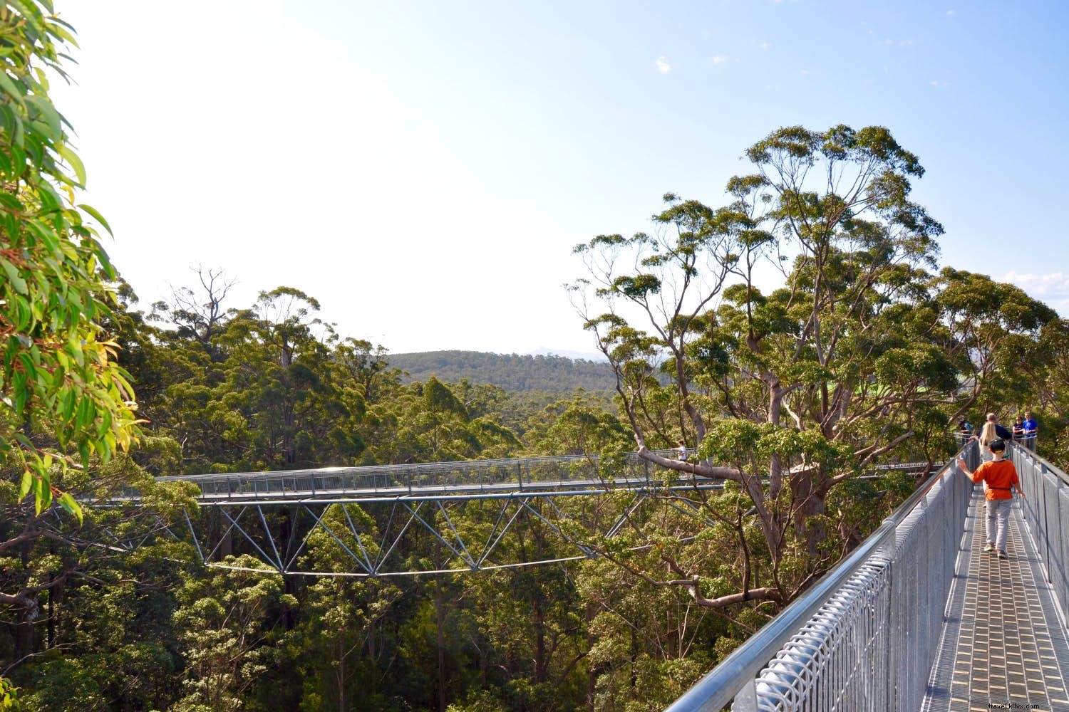 Top 10 Family Adventure Destinations for Unforgettable Experiences