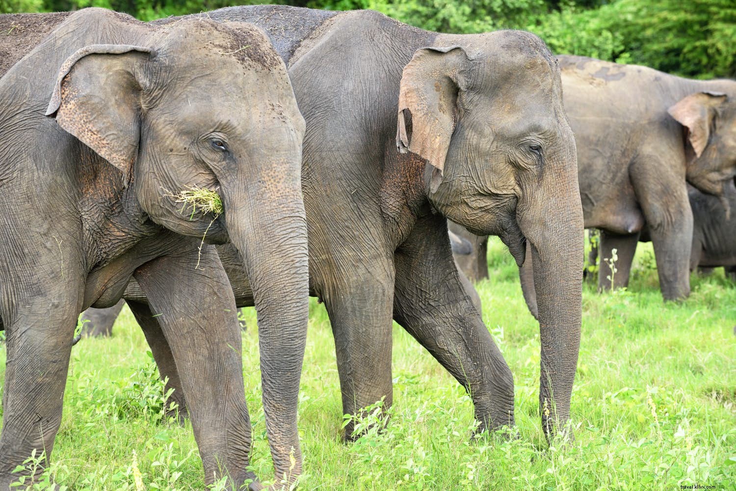 Top 10 Family Adventure Destinations for Unforgettable Experiences