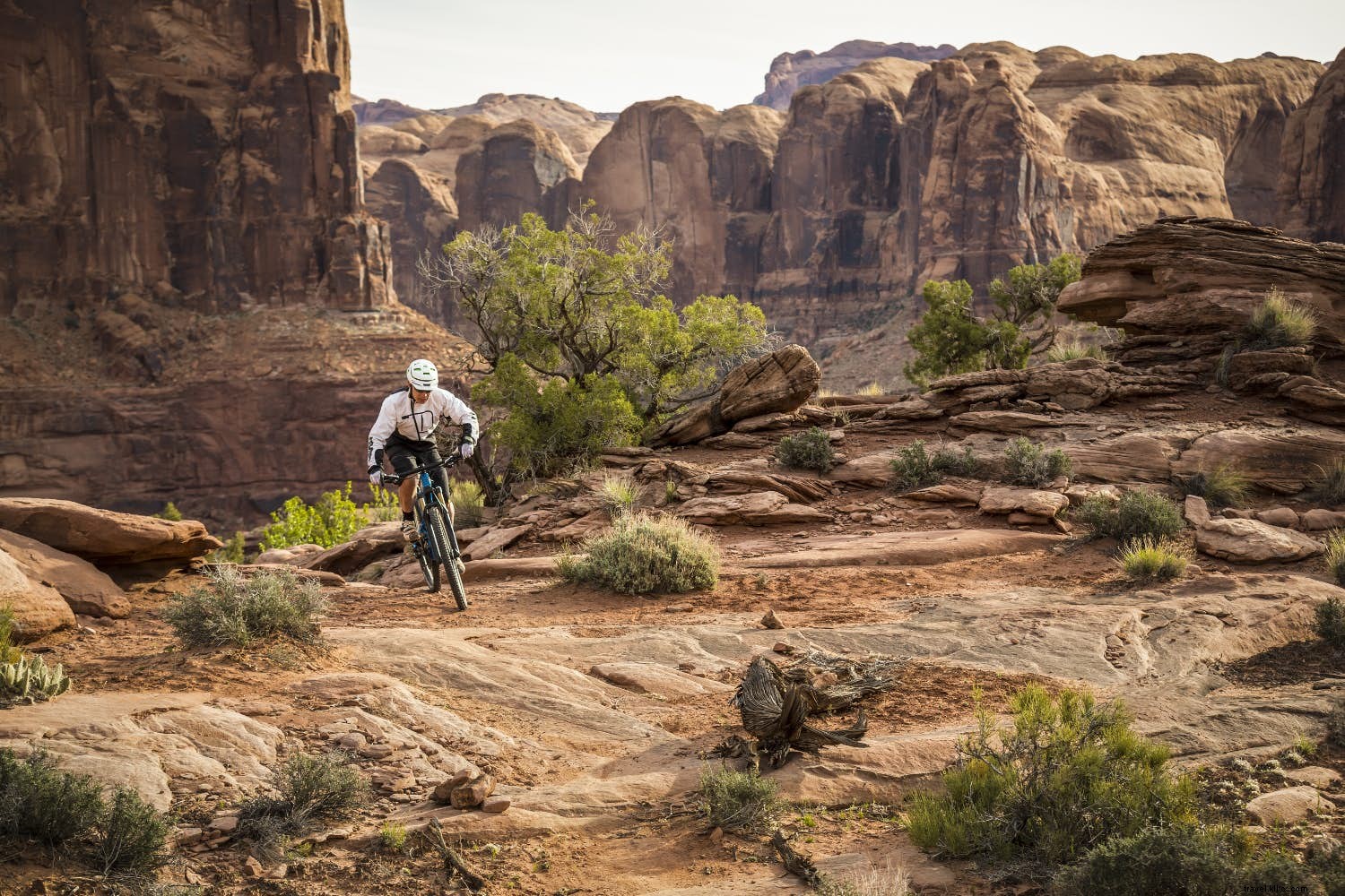 Epic Bikepacking Trails: Top Multi-Day Off-Road Adventures Worldwide