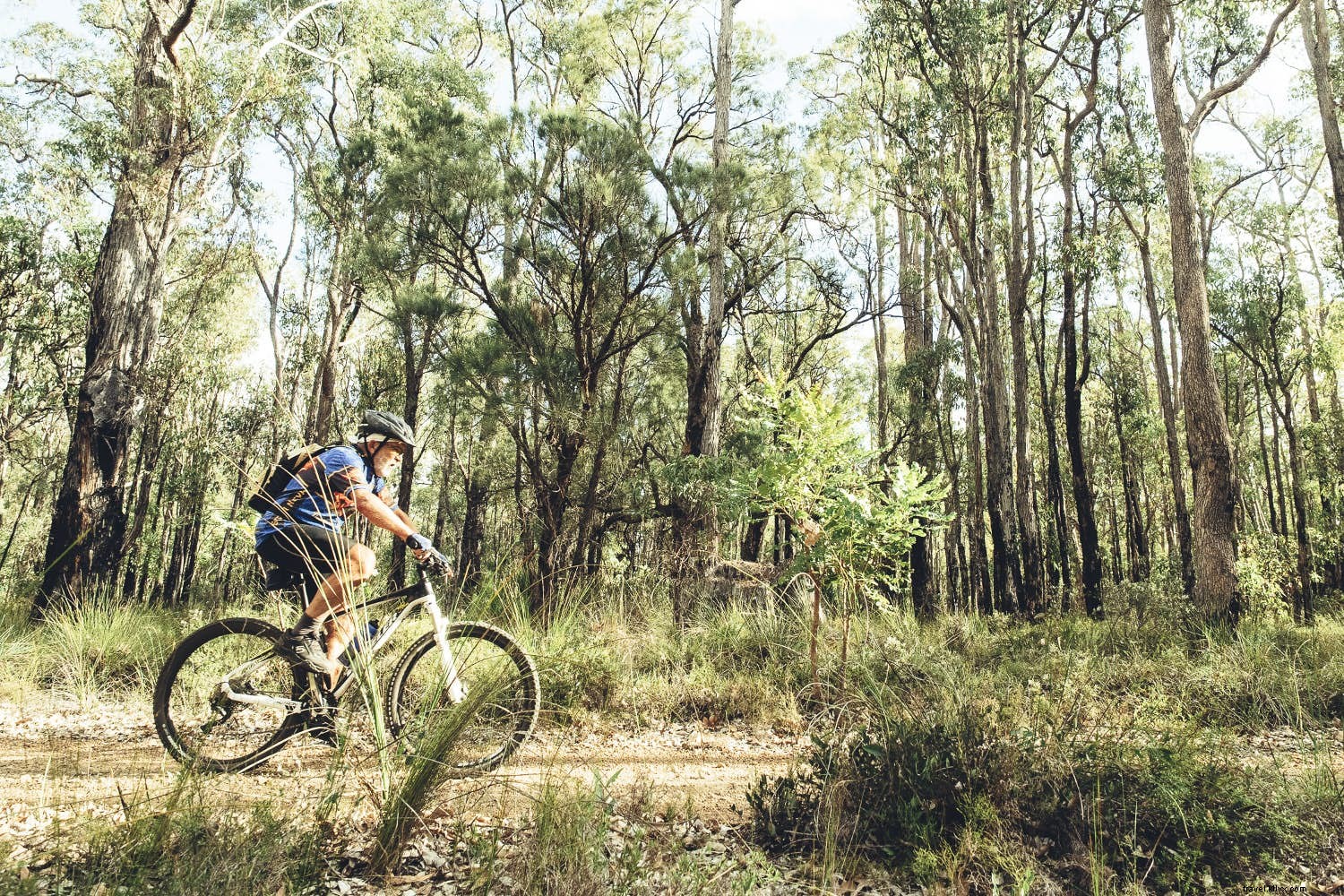 Epic Bikepacking Trails: Top Multi-Day Off-Road Adventures Worldwide