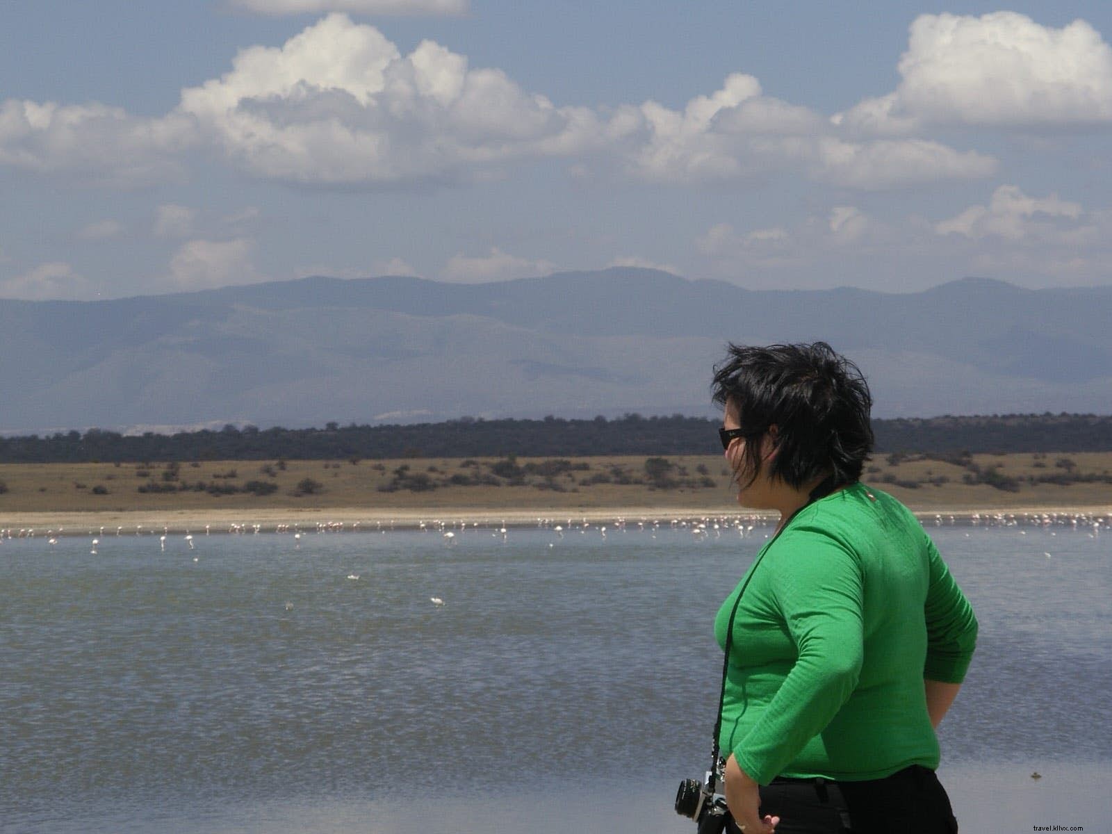 Lonely Planet Experts Share Their Global Travels: Countries Visited, Highlights, and Endless Wanderlust