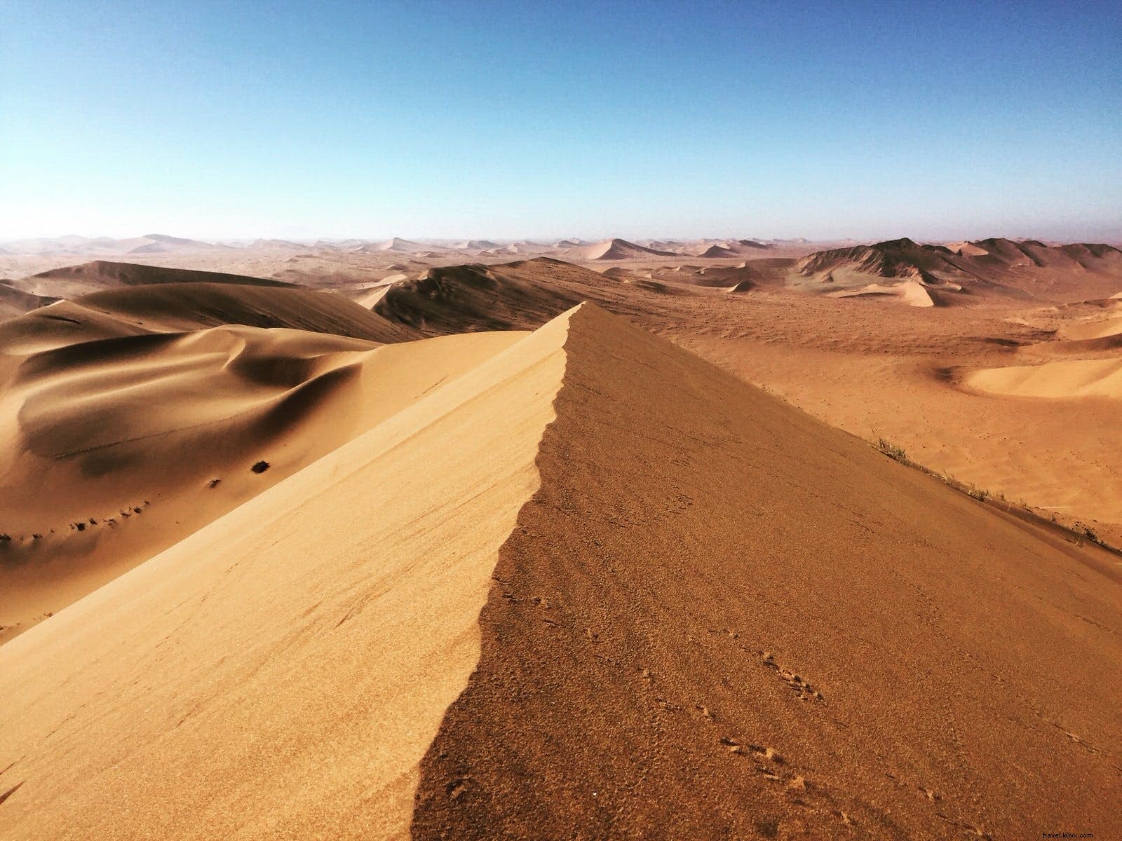 Lonely Planet Experts Share Their Global Travels: Countries Visited, Highlights, and Endless Wanderlust