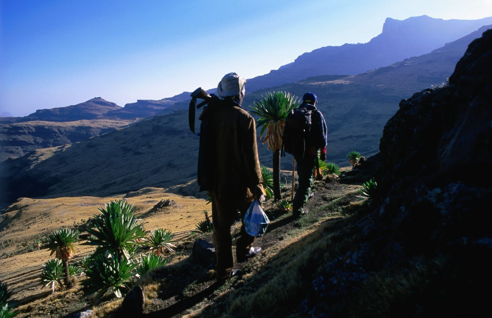 Ultimate Guide to Trekking Ethiopia s Simien Mountains: Dramatic Landscapes and Unique Wildlife