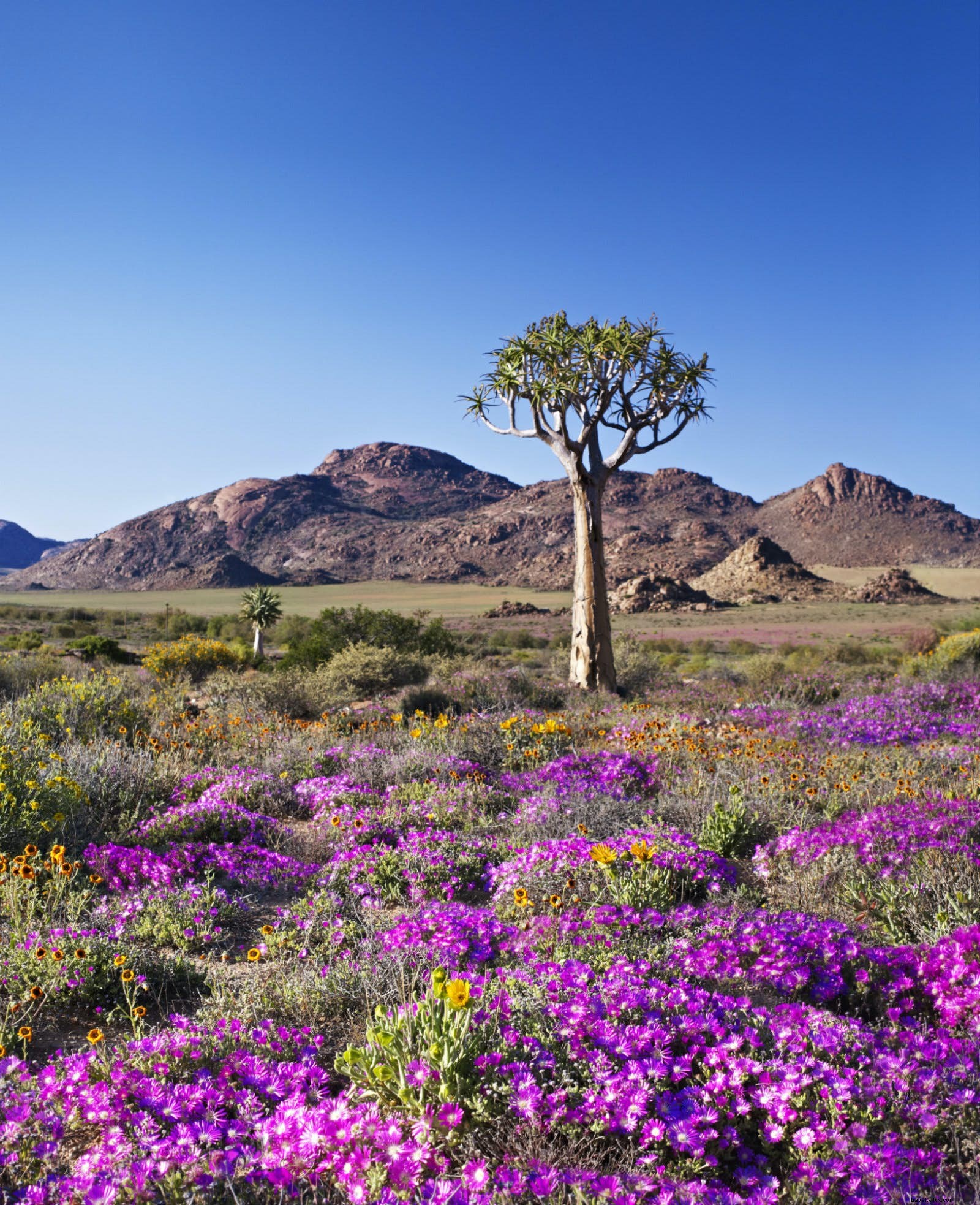 Africa s Most Thrilling Adventures: Budget-Friendly Wild Experiences Beyond National Parks