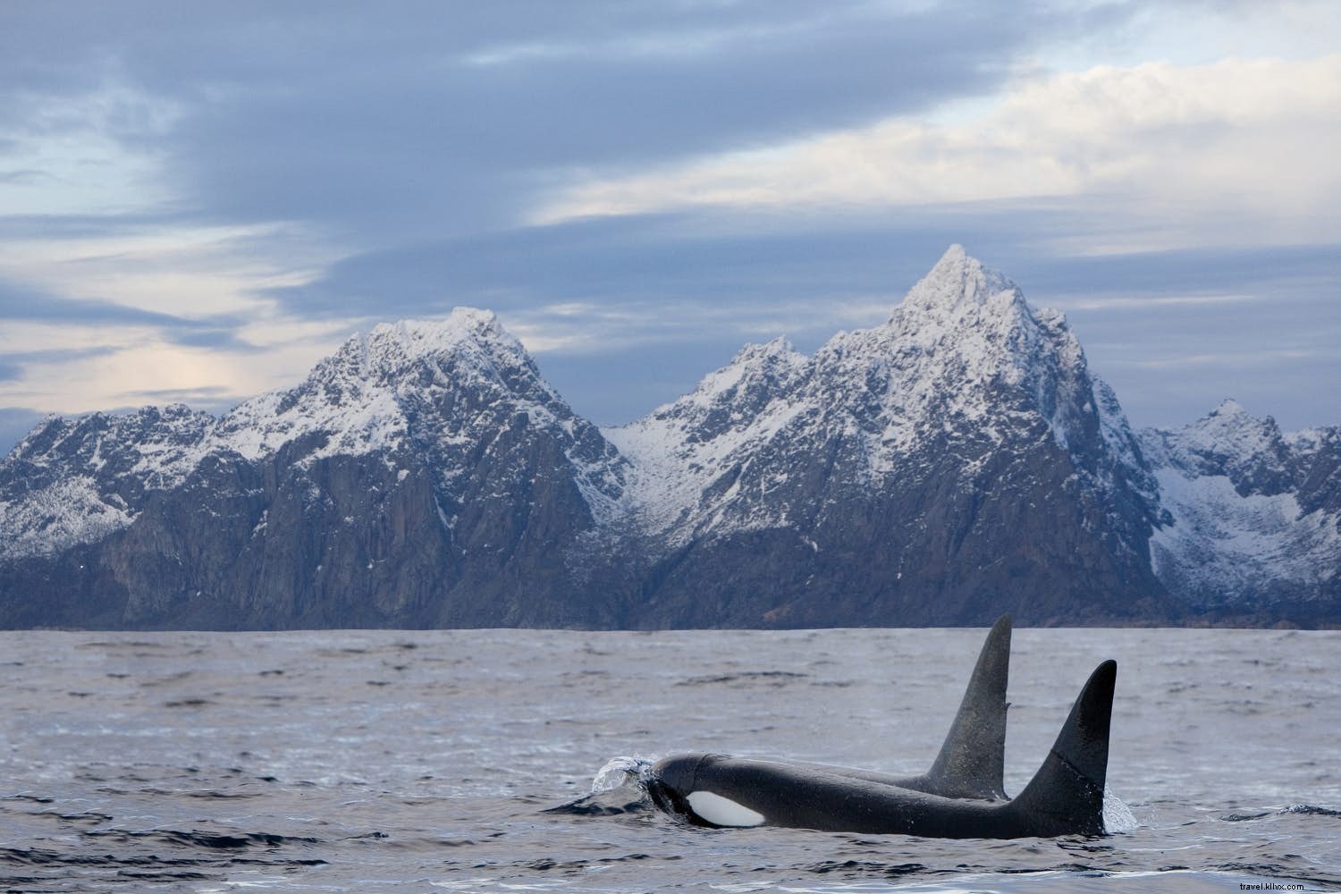 Selina McMinn: Air New Zealand Cabin Crew s Insider Travel Stories and Expert Tips