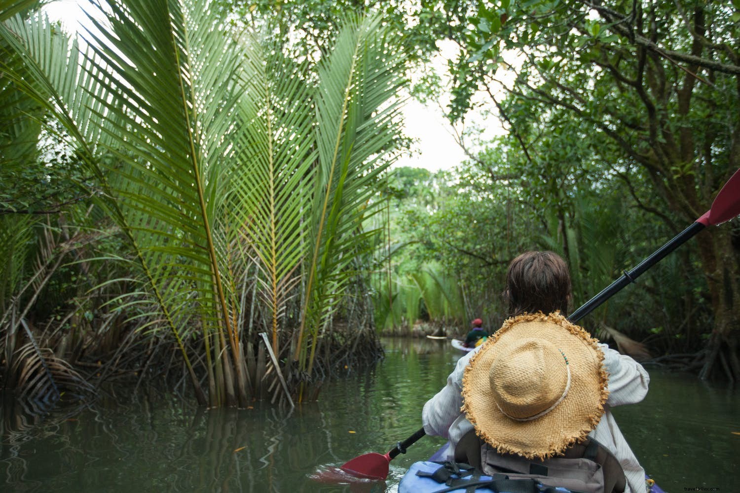 Expert Packing Guides for Every Trip: Wilderness, Cities, Rainforests & More