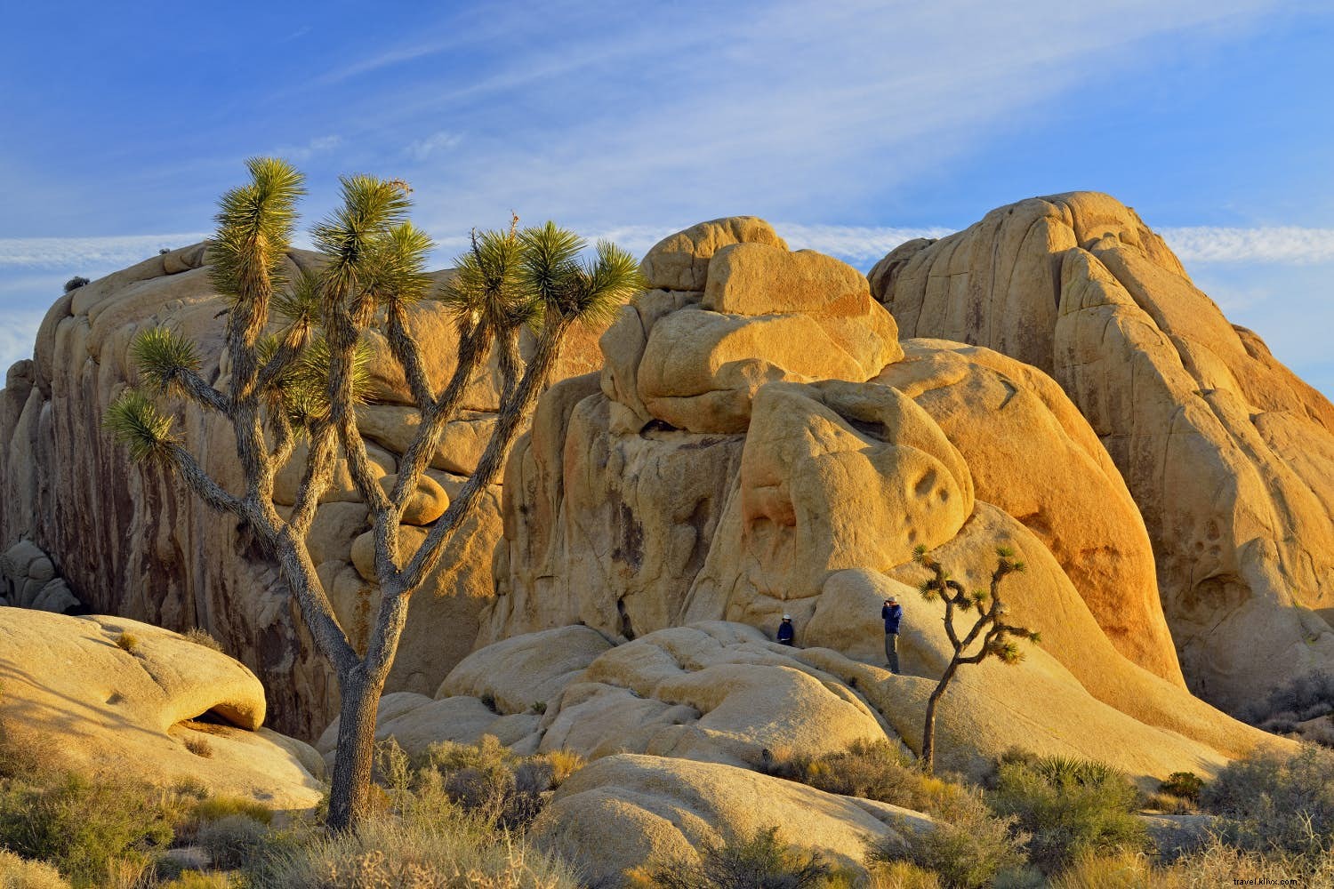 Expert Packing Guides for Every Trip: Wilderness, Cities, Rainforests & More