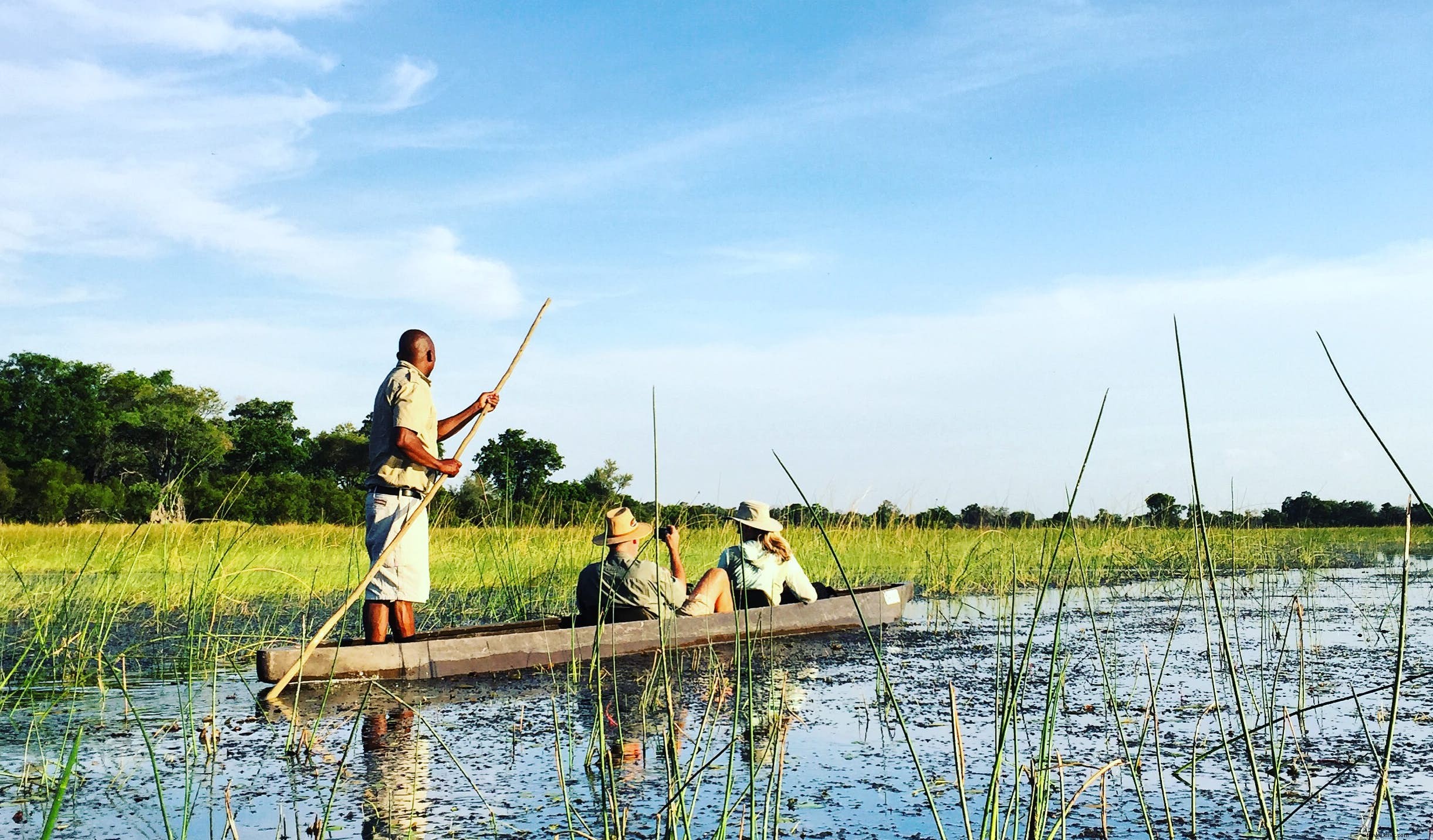 Botswana Safaris: Okavango Delta, Chobe River, and Kalahari Desert Adventures