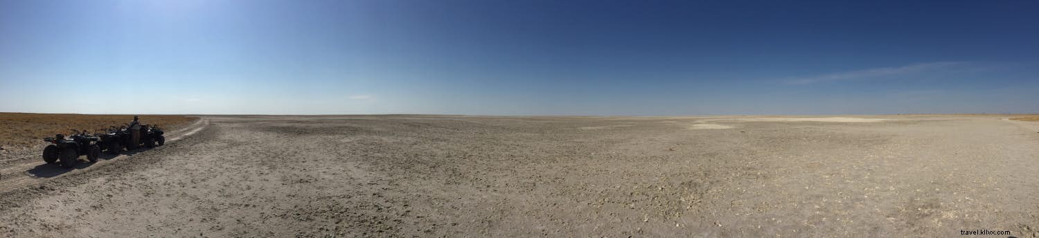 Botswana Safaris: Okavango Delta, Chobe River, and Kalahari Desert Adventures