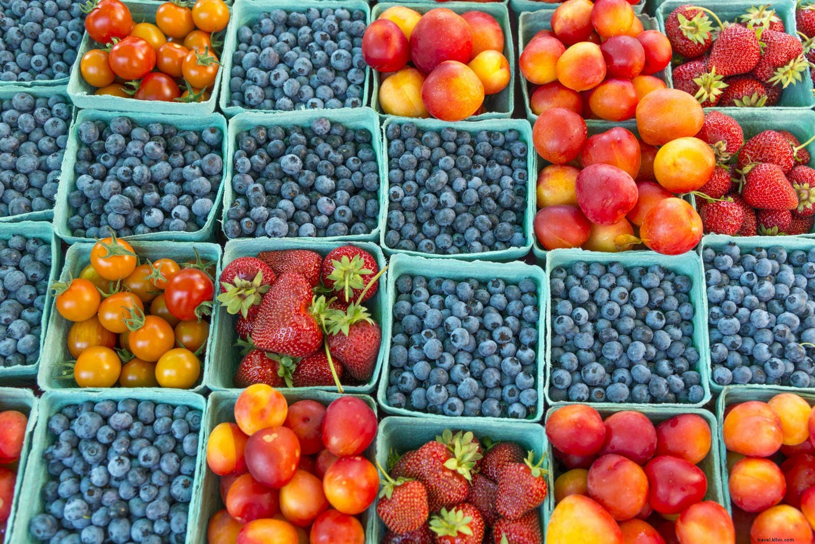 Top June Travel Destinations: Gorilla Treks, Midnight Sun, and Iconic Festivals