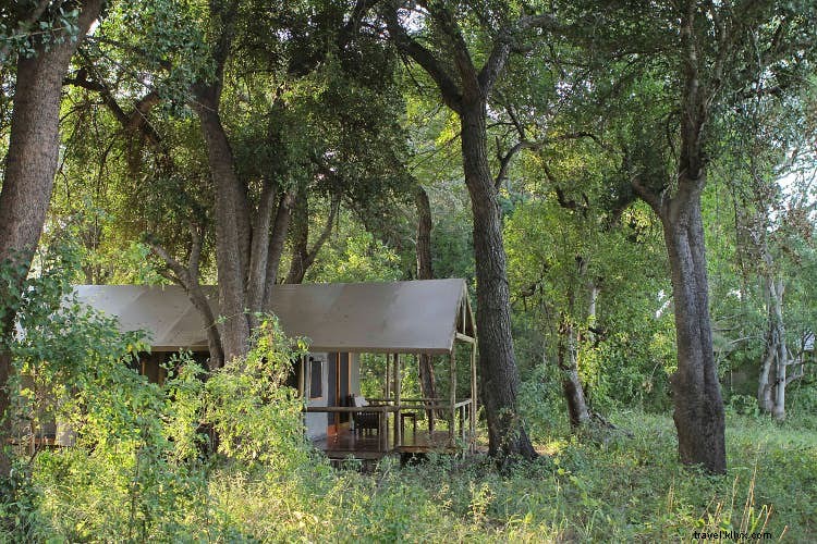Ultimate Guide: Planning a Kid-Friendly Botswana Safari Adventure