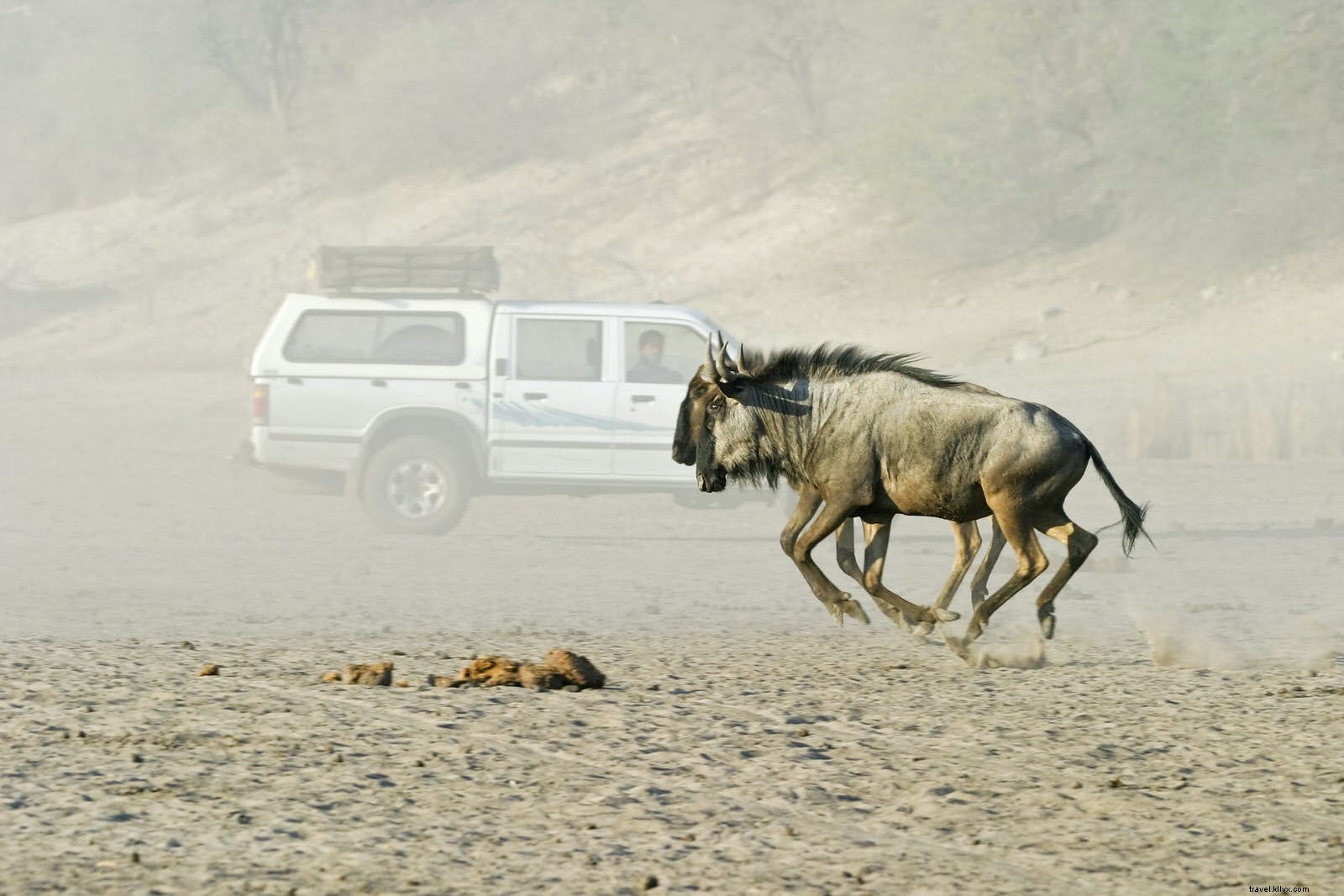 Botswana Self-Drive Safaris: Ultimate Freedom and Wildlife Encounters