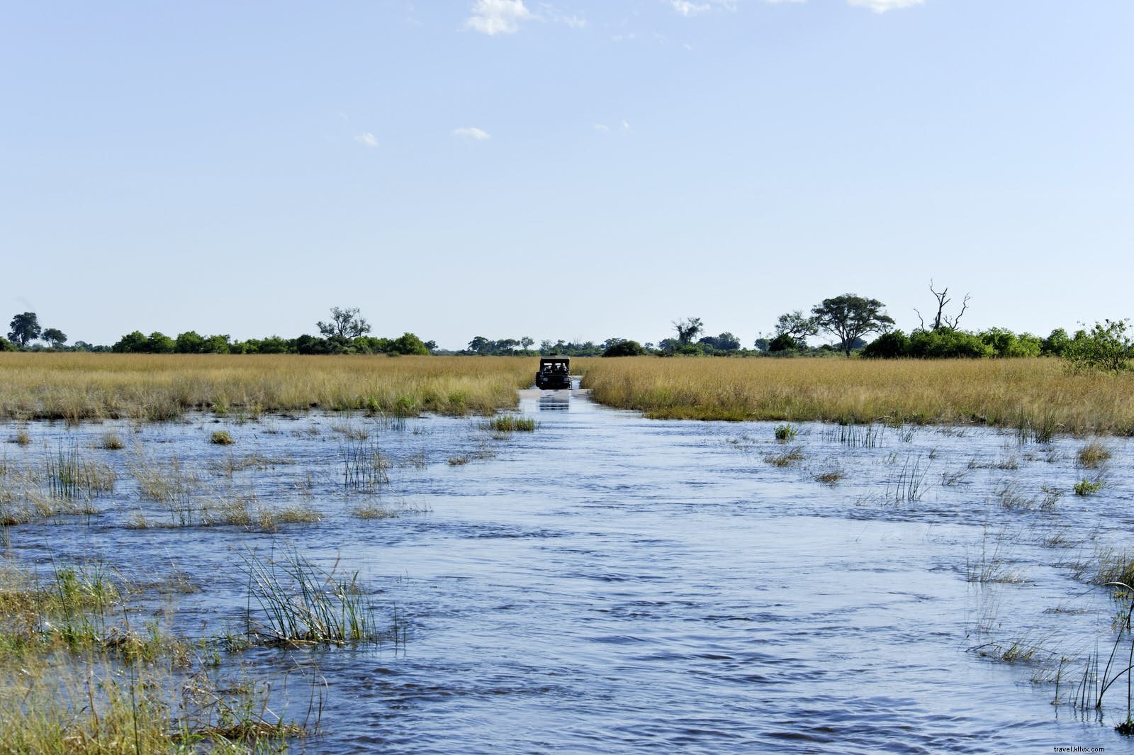 Botswana Self-Drive Safaris: Ultimate Freedom and Wildlife Encounters