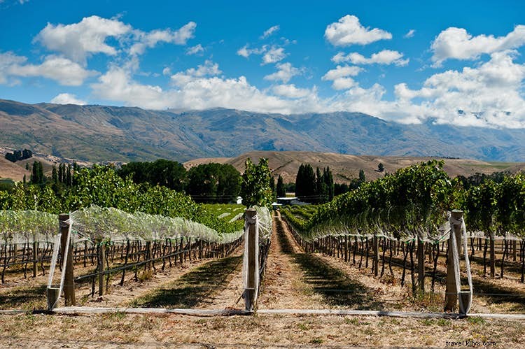 Discover 10 of the World s Most Captivating Wine Regions