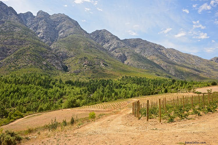 Discover 10 of the World s Most Captivating Wine Regions