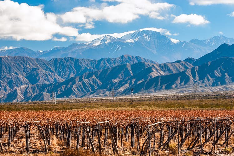 Discover 10 of the World s Most Captivating Wine Regions